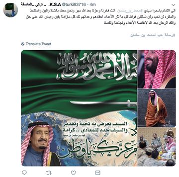 擁護沙烏地王儲的「愛國」留言,發言的時間與模式類似,疑為網路機器人所發動。(網路截圖)
