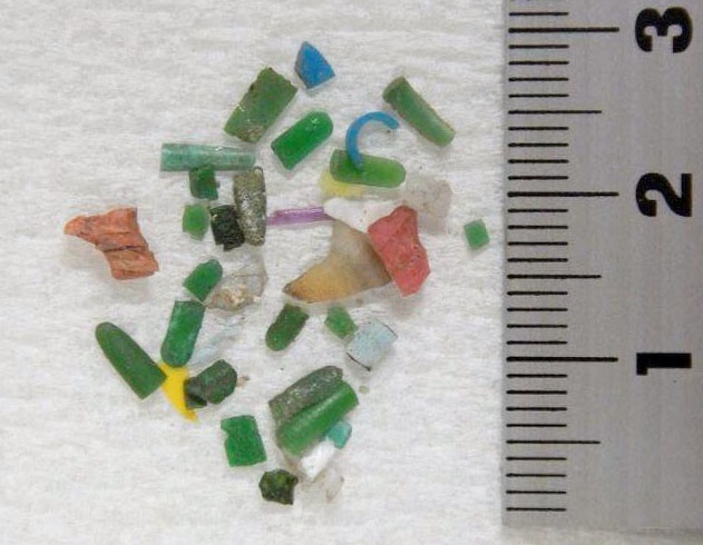 人類糞便首次被研究發現含有微型塑膠。（東方IC）