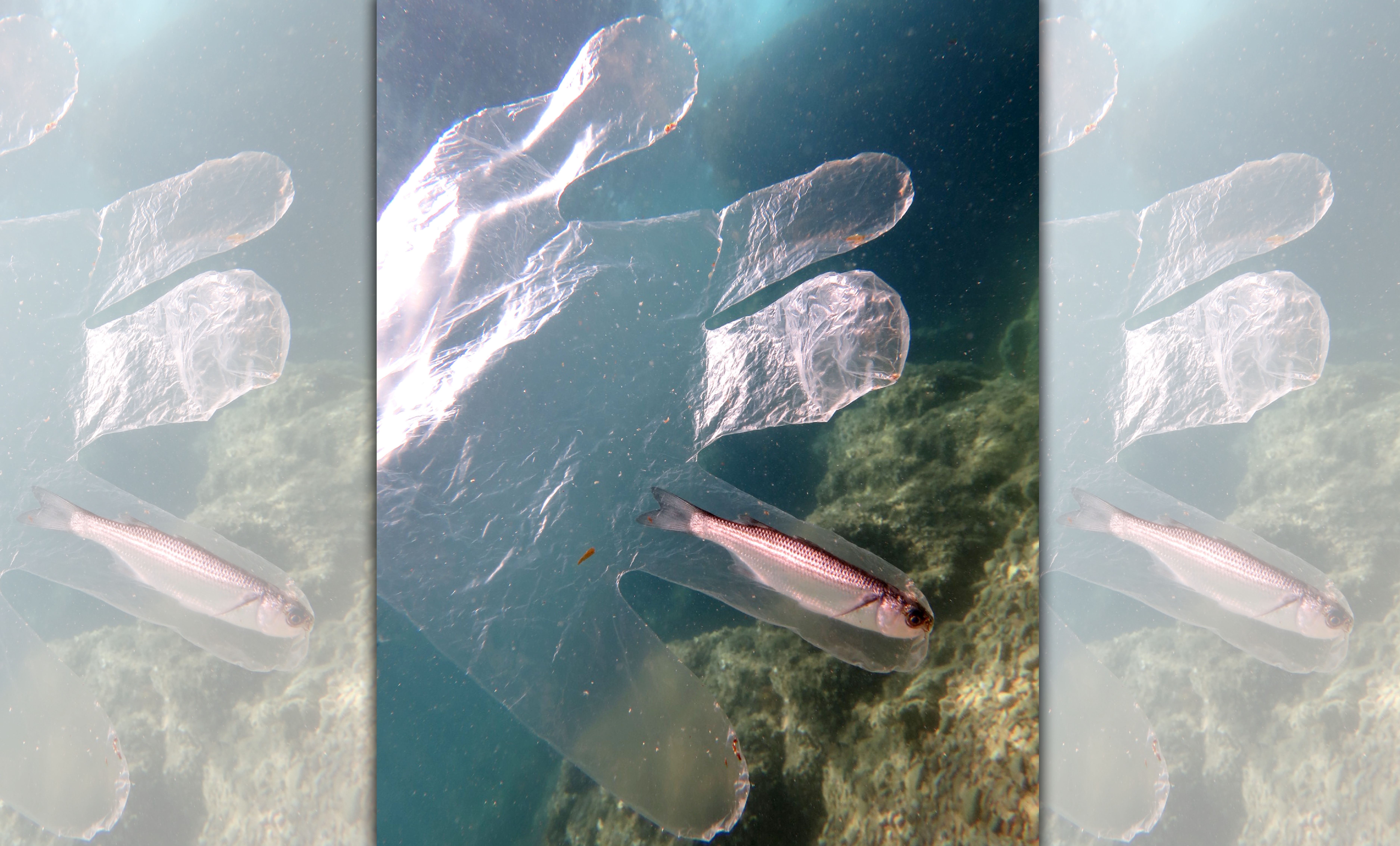 為解決海洋垃圾汙染嚴重的問題，歐盟提案禁用一次性塑膠在歐洲議會通過，若投票順利的話，預計2021年前將可實施。（東方IC）