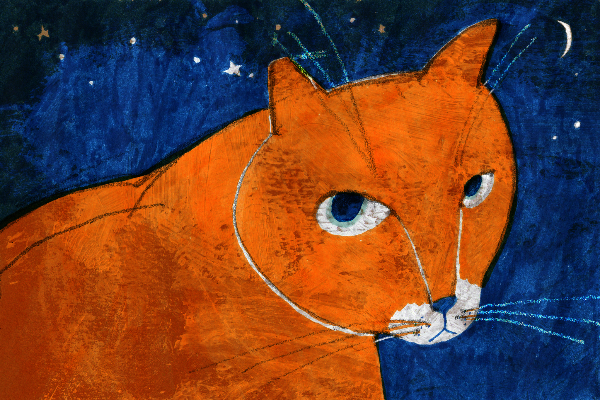 【詩】貝阿提絲，我中途過的那隻橙貓　曾貴麟