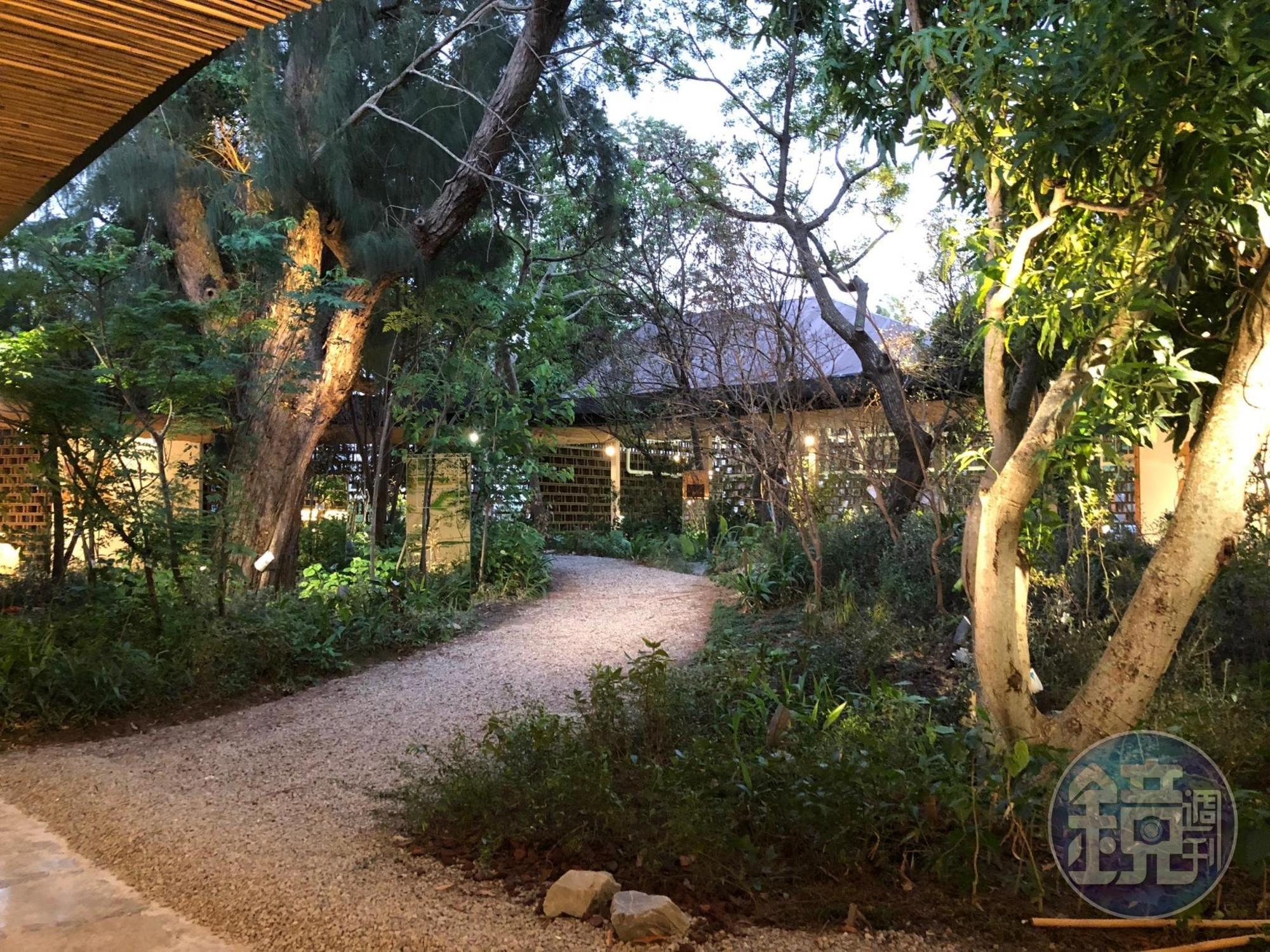 台中花博「發現館」還原大甲溪流域不同海拔的地景,中海拔區域還有日前引發話題的「姑婆芋」。