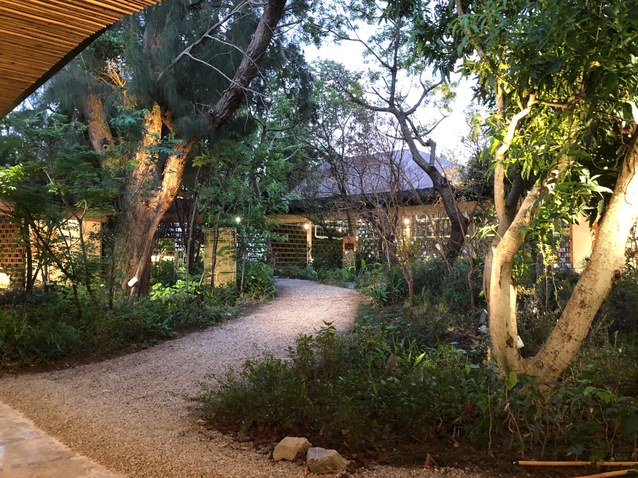 台中花博「發現館」還原大甲溪流域不同海拔的地景，中海拔區域還有日前引發話題的「姑婆芋」。