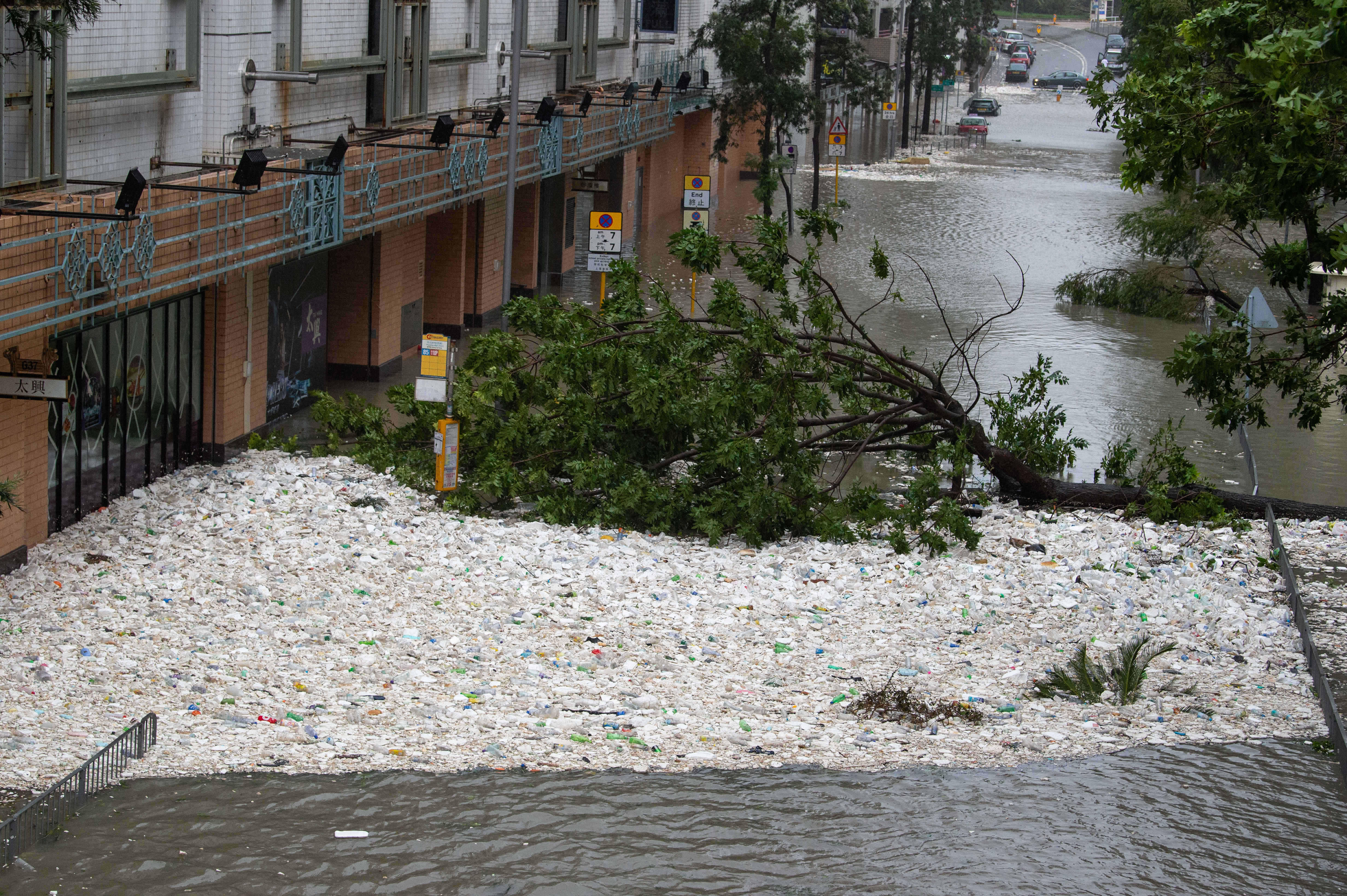 山竹颱風侵襲香港後,大量海洋垃圾被「送回」陸地。(東方IC)