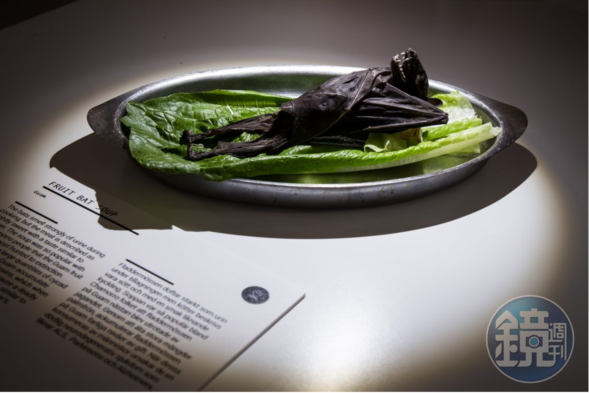 來自關島的炭烤蝙蝠（Disgusting Food Museum）