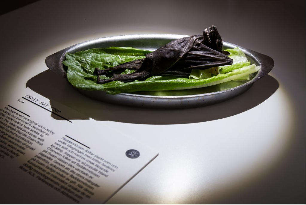 來自關島的炭烤蝙蝠（Disgusting Food Museum）