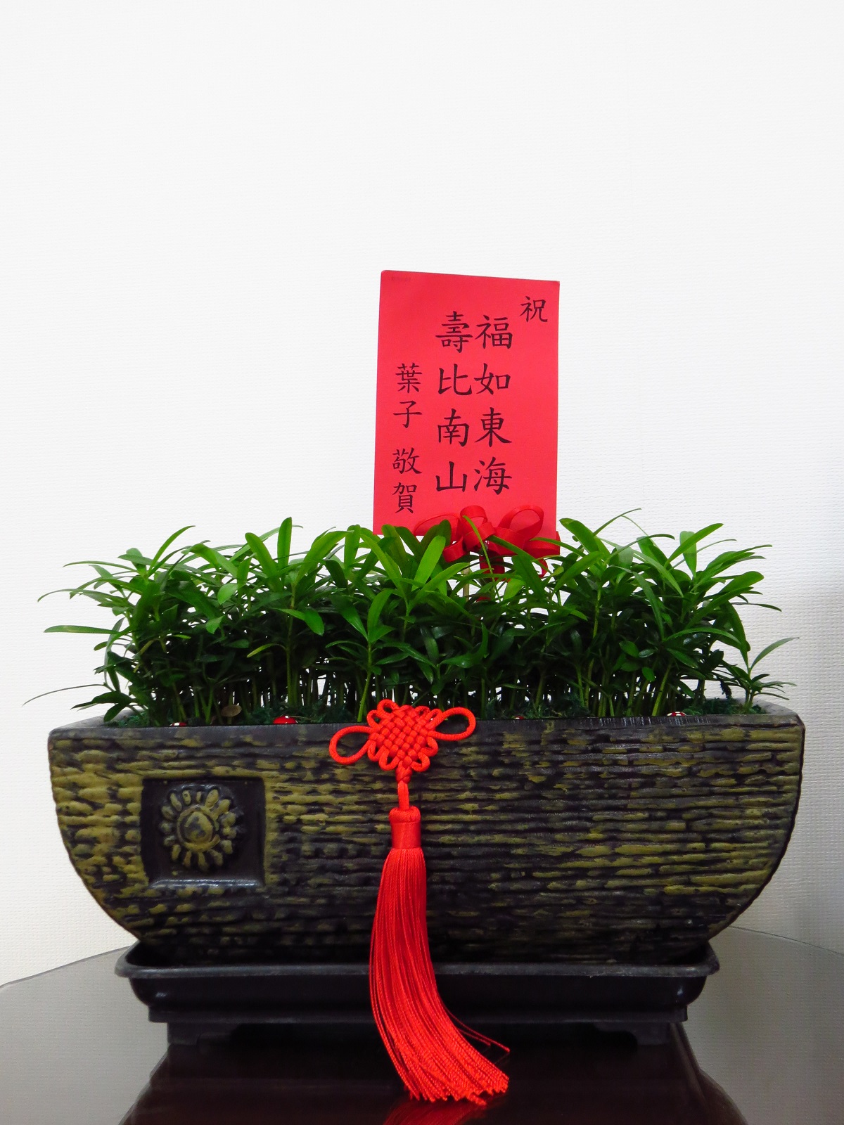 陳昭榮辦公室內放著葉全真送他的招財植物，賀詞還非常老派。（翰成數位提供）