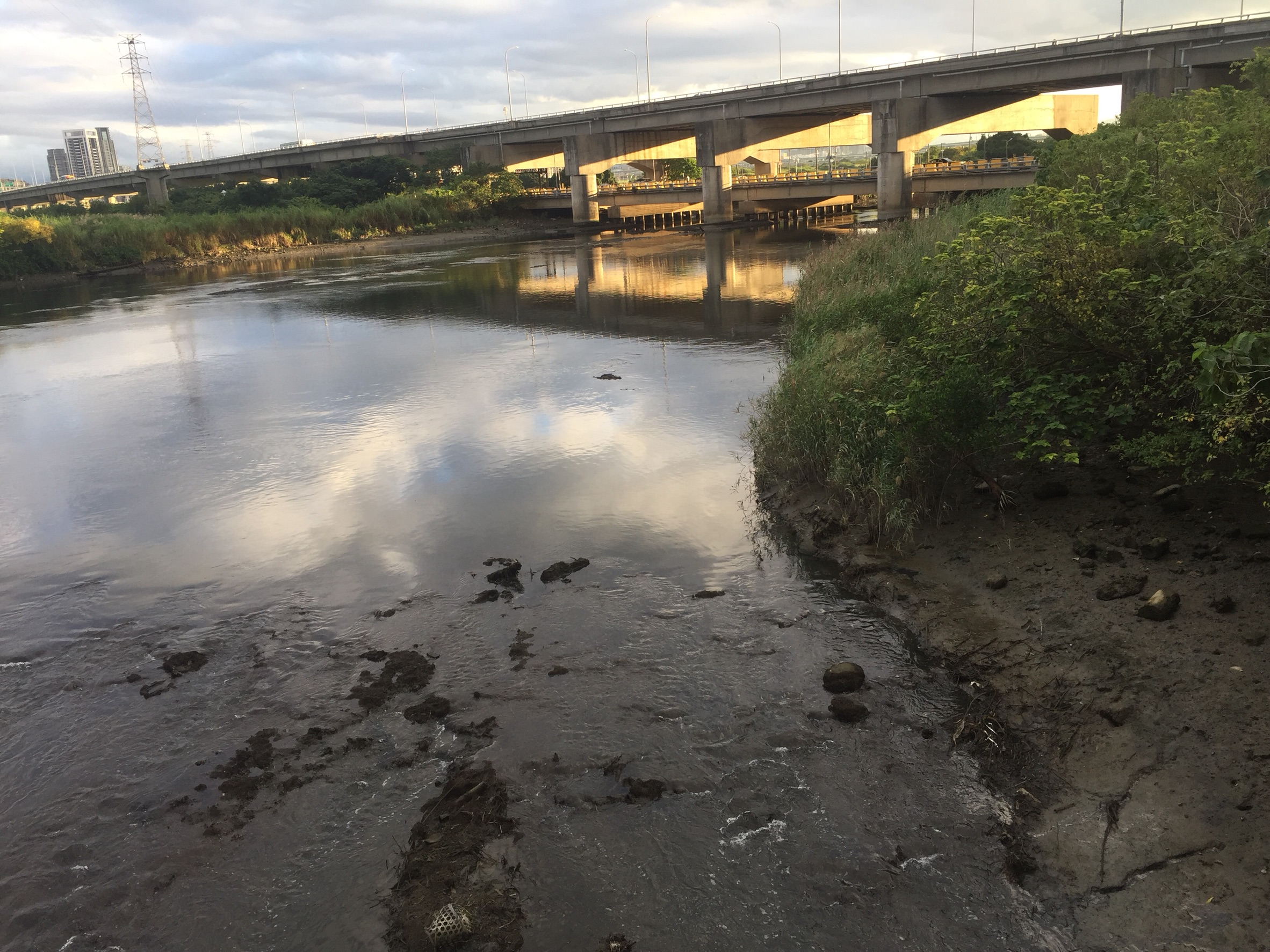 新北市五股區驚見浮屍，現正確認身分。