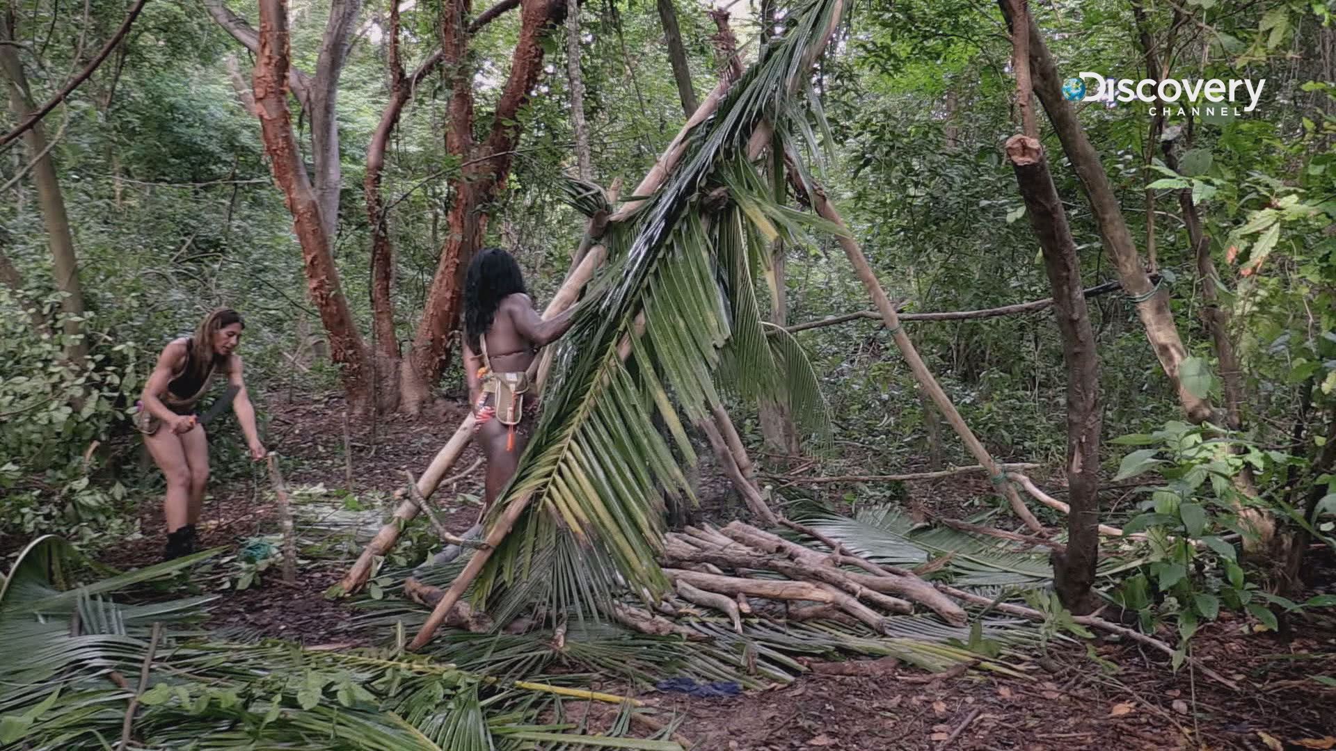 原本互不相干的兩組人馬，被迫在荒島上一起求生，協議一同蓋好遮風避雨的場所。（Discovery頻道提供）