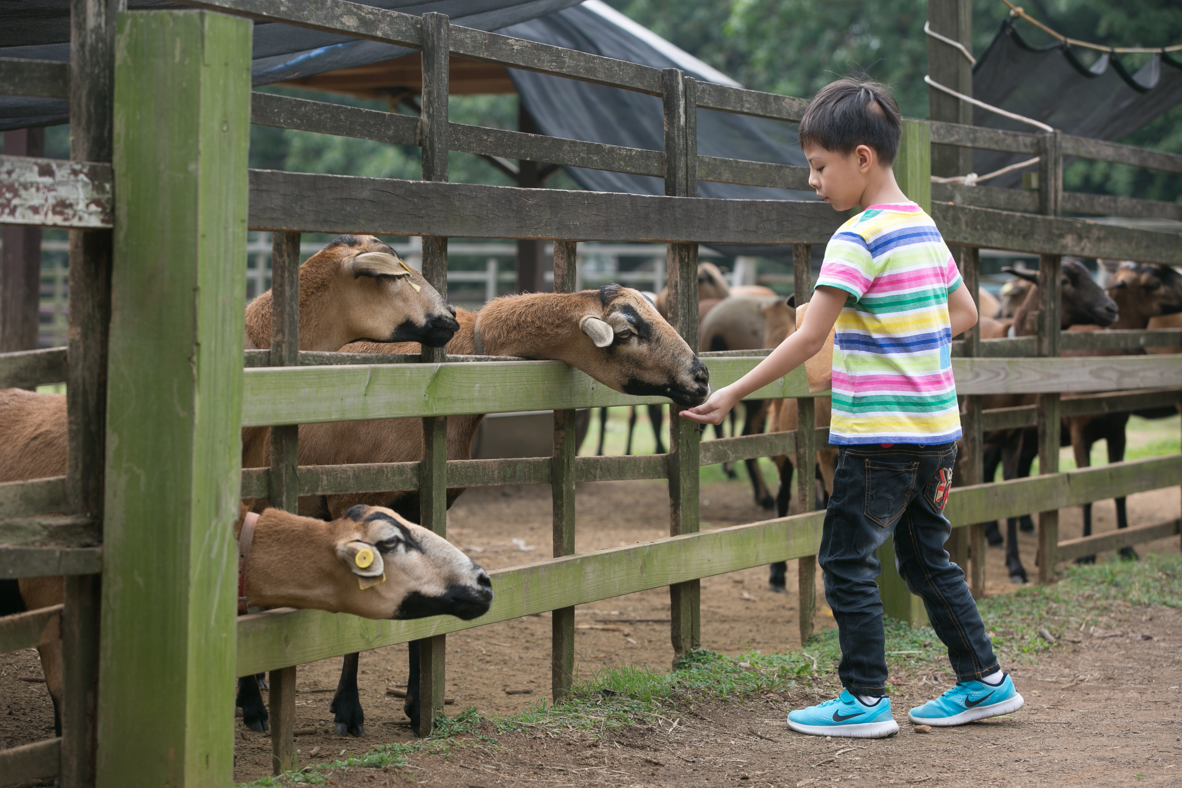 味全將埔心農場賣給三立，估計獲利10億元。