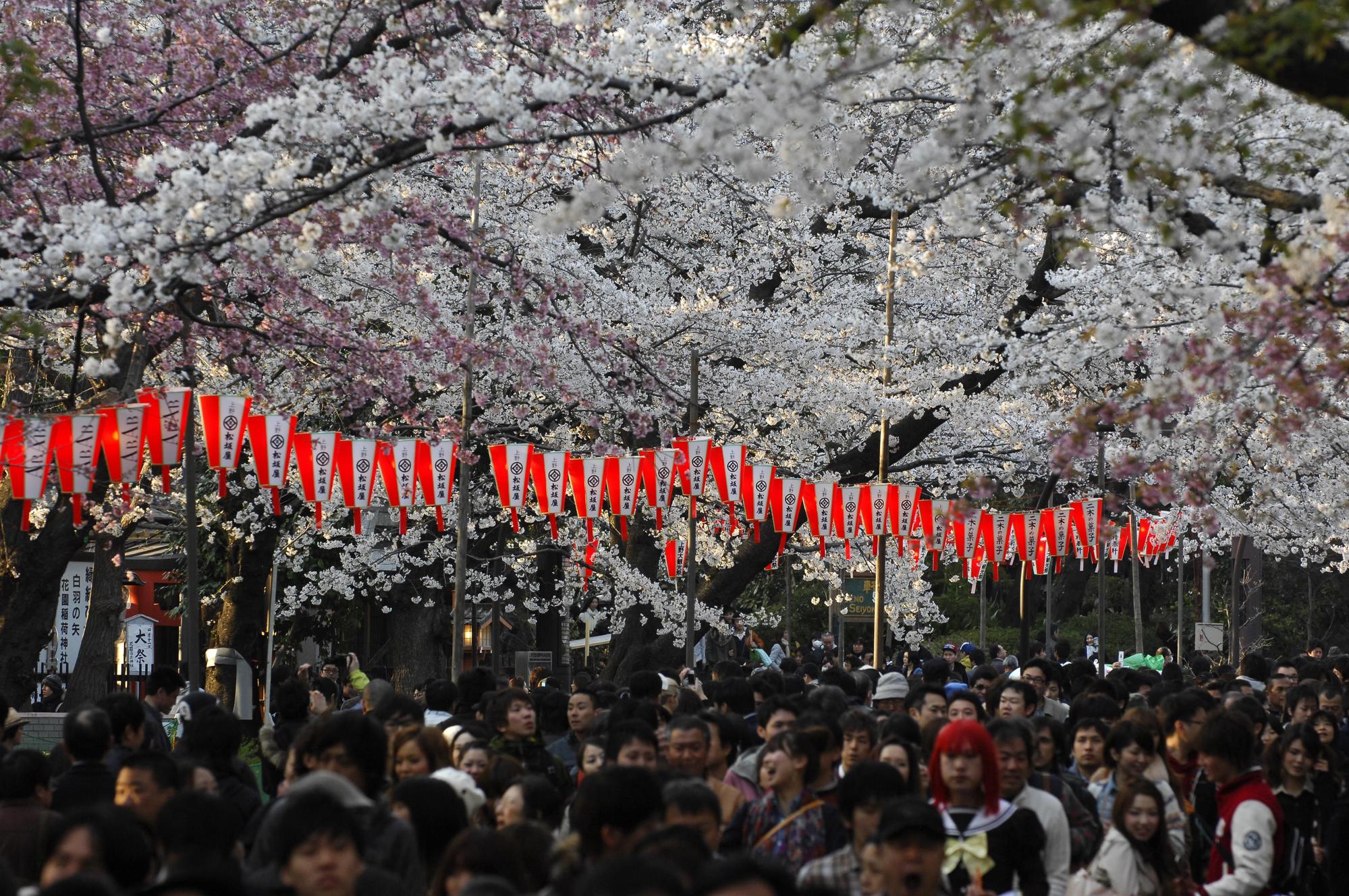 明年日本黃金週可能連休10天,國人欲前往旅遊建議避開。(東方IC)