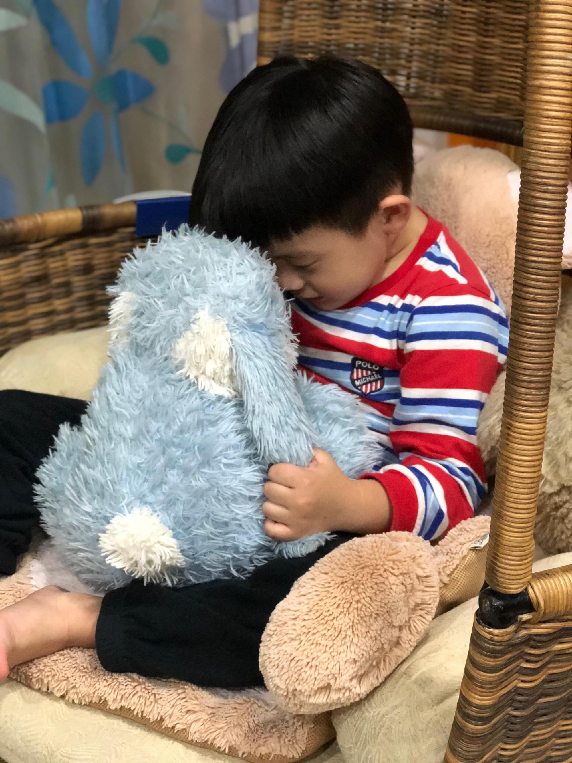 絨毛玩偶也是常常造成孩子不適的原因之一,多補充益生菌,調整家中孩童體質。