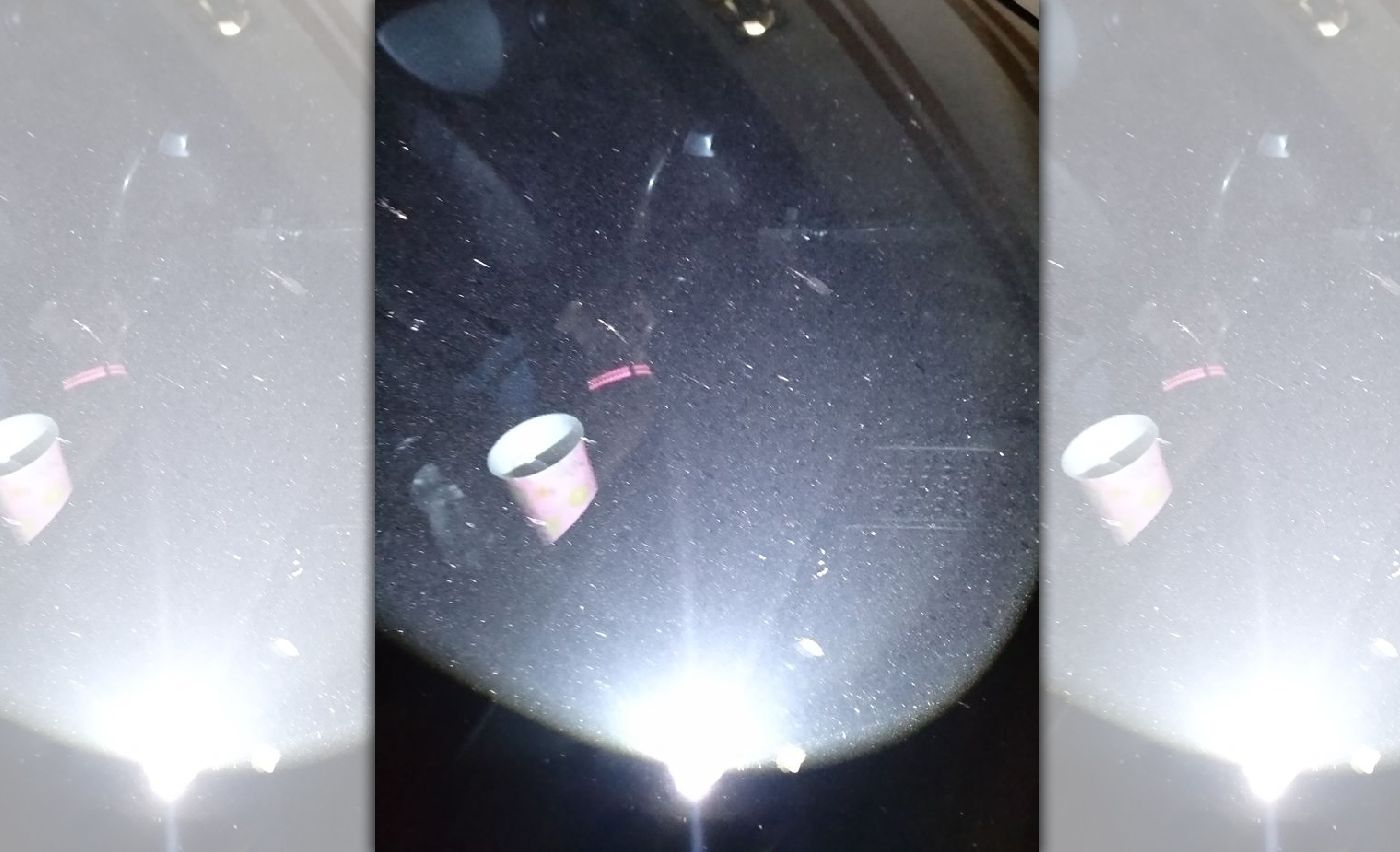 幼犬被放置車內一晚上，安危難以確認。（翻攝畫面）