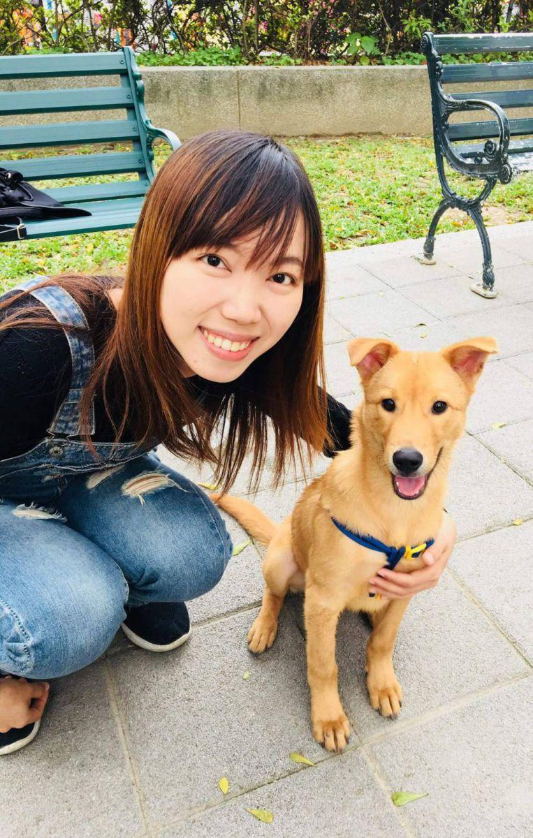 李姍姍長年為流浪動物付出，更收養曾被割頸的小黃狗。（翻攝畫面）