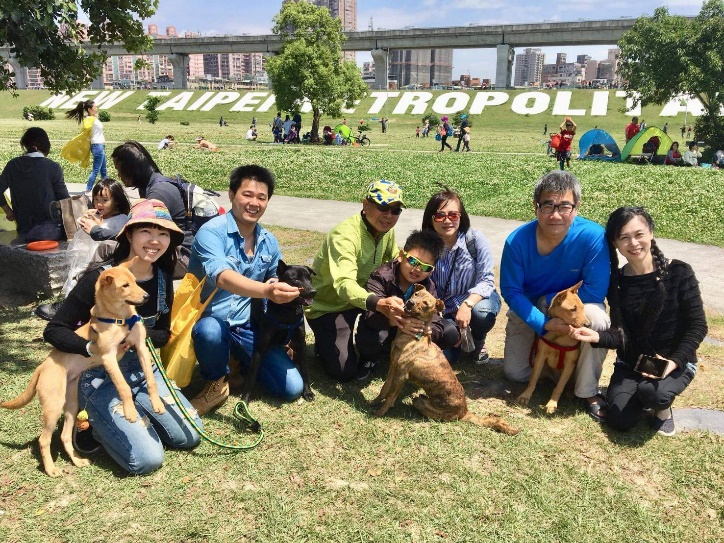 小黃狗在流浪時誤套橡皮圈，所幸遇上好心女老師和動物之家。（翻攝畫面）