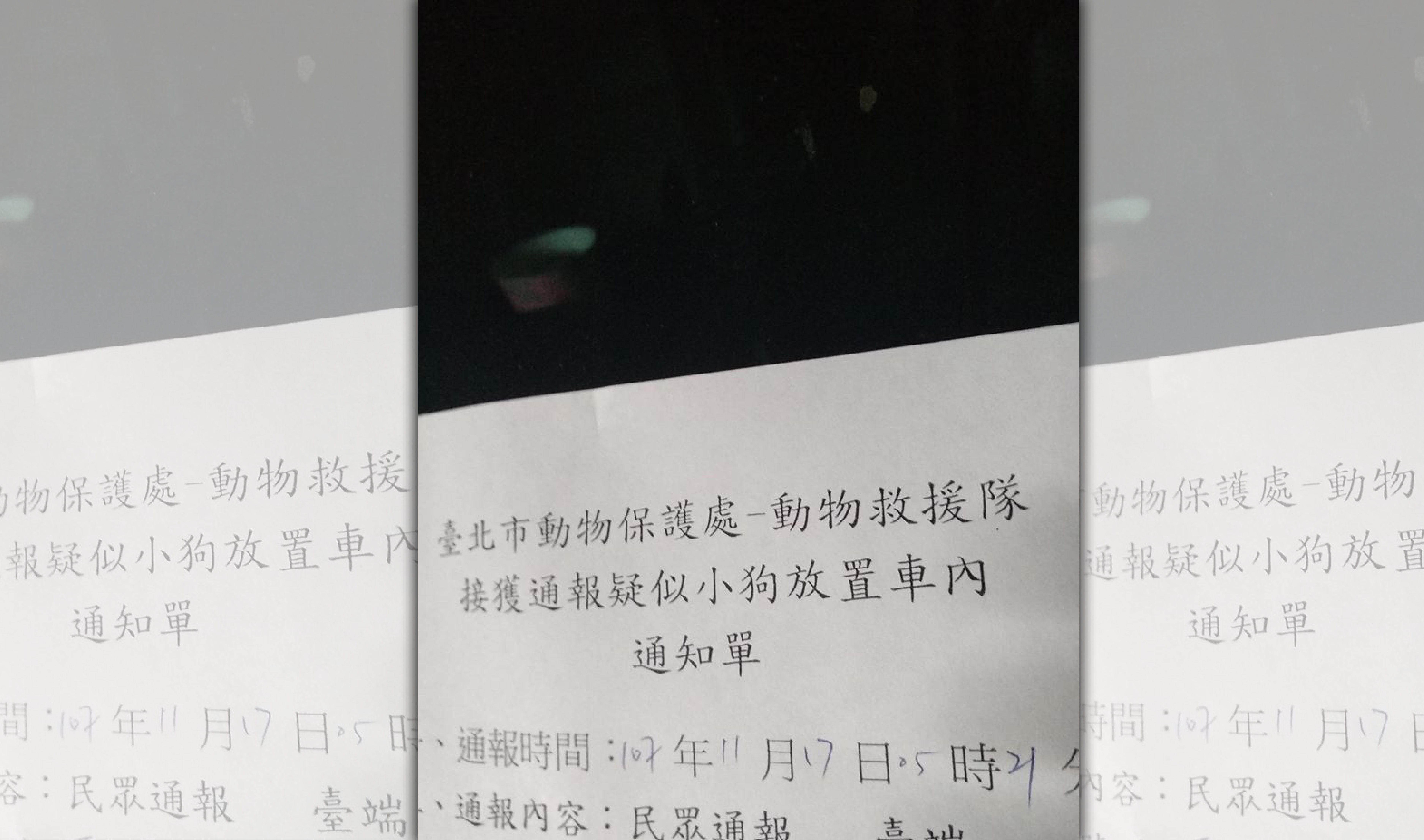 現行法律並不支持破窗救狗，若犬隻沒有立即生命危險，動保員往往只能開出勸導單。（翻攝畫面）