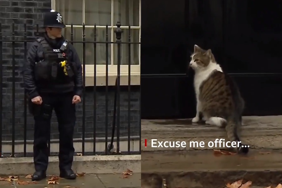 英國首席捕鼠官賴瑞坐困家門前進不去，而轉頭向一旁駐守警員求救，在警員的幫忙敲門下，才順利回到家中。（圖取自BBC Twitter）