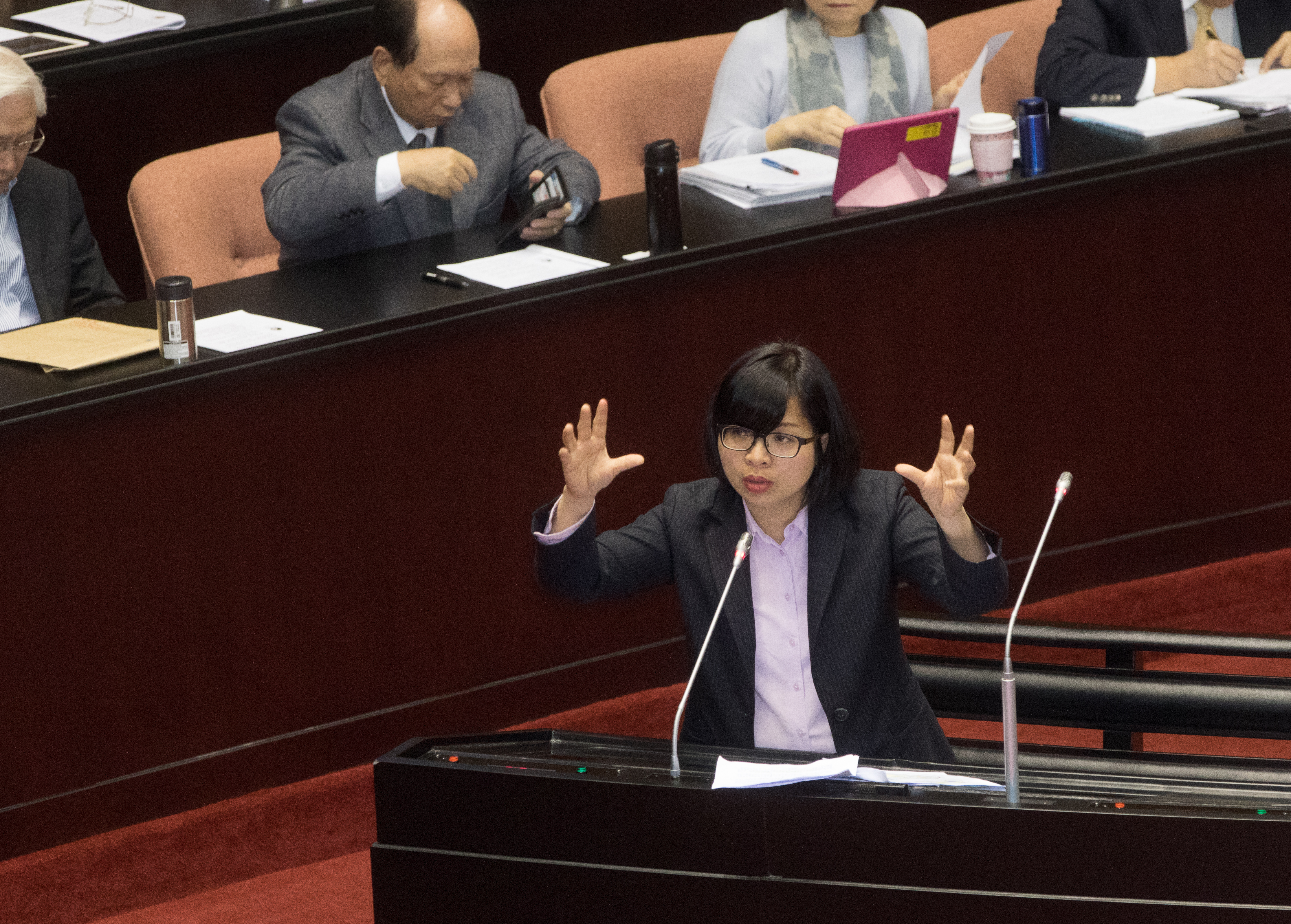 面對民進黨大選挫敗，黨籍立委林淑芬在臉書po文，強調過去一段時間立院只能為政院的政策護航，失去監督制衡功能，因此建議改革要從國會解嚴開始做起。