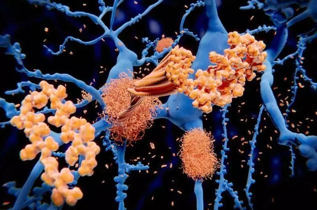 （圖源：Science Photo Library）