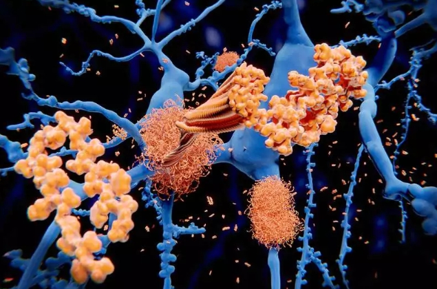 （圖源：Science Photo Library）