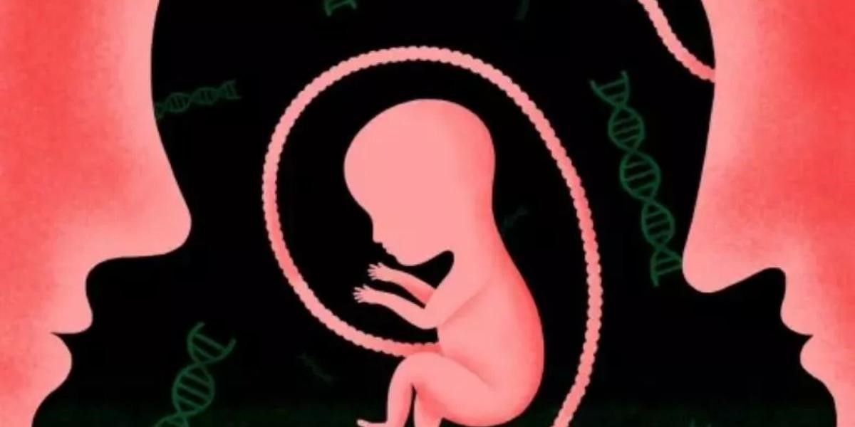 道德？不道德？中國誕生世界首例基因編輯嬰兒　改寫人類進化史