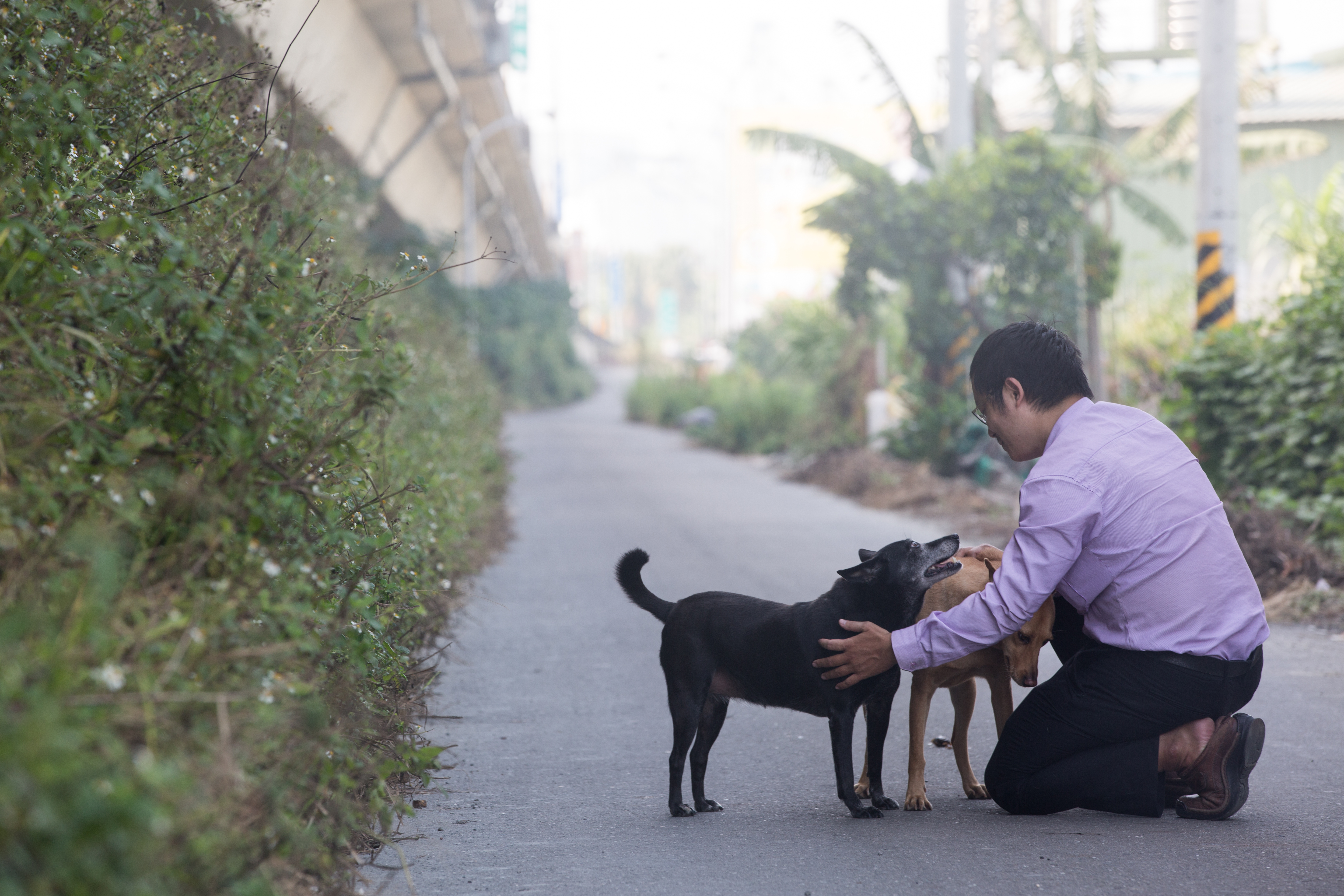 每天下班遛狗是翁建原的日常，他認為，研究股票不需花時間。