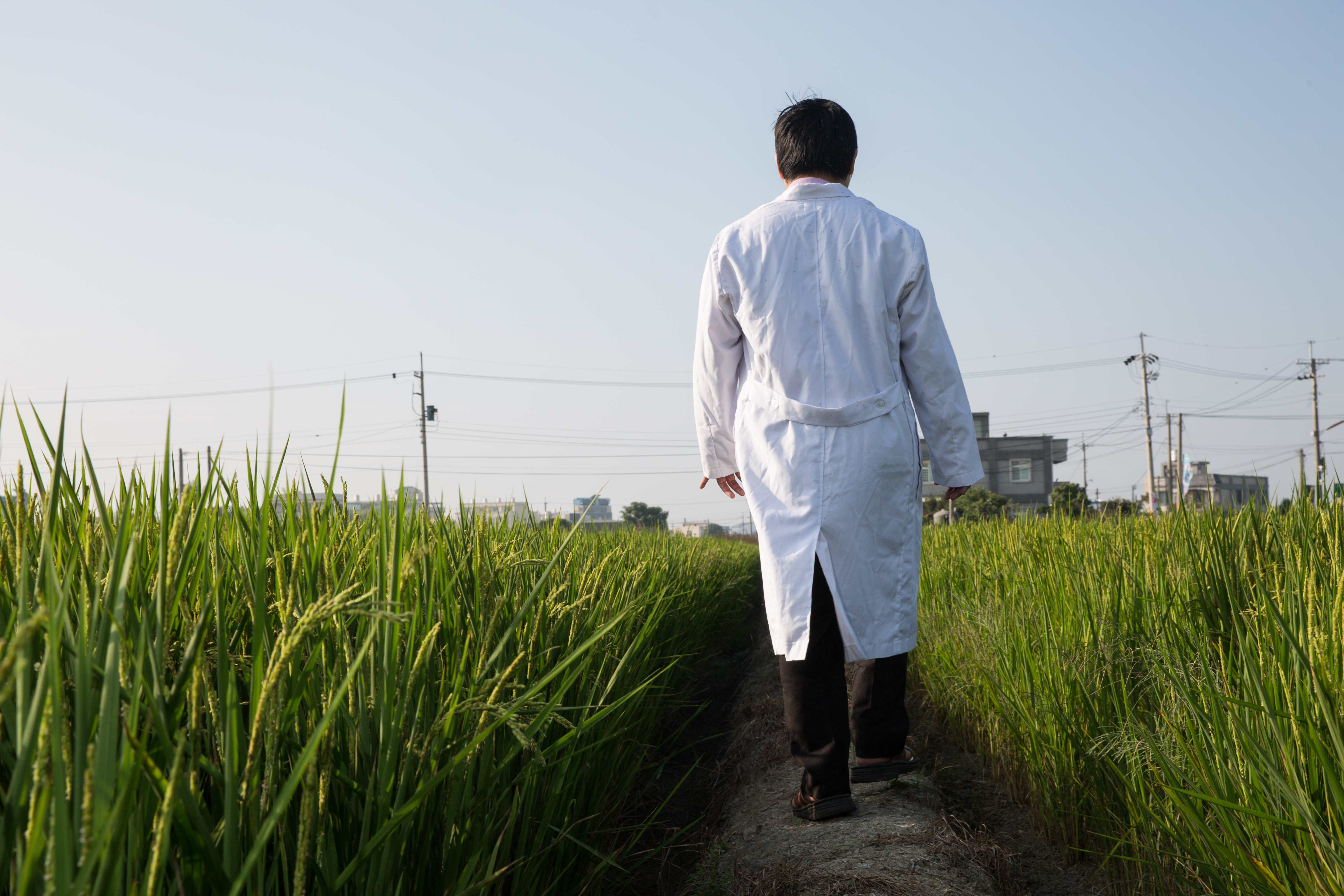 走在稻田小徑間拍照，翁建原以自己養狗的經驗妙喻投資。