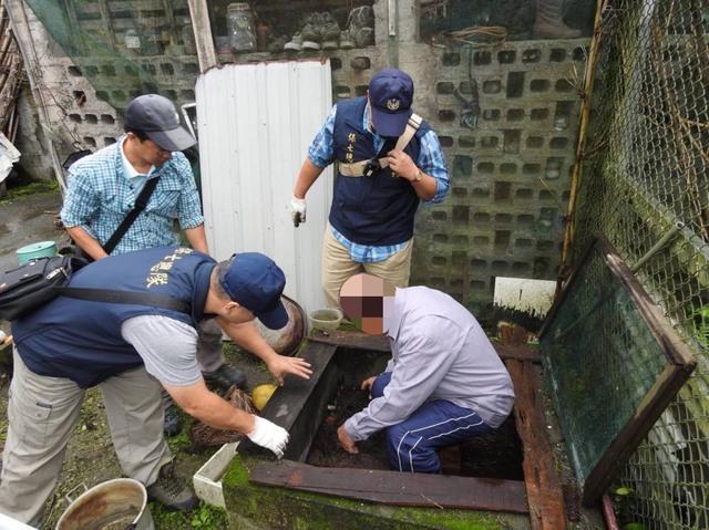 江姓屋主將自宅改成食蛇龜繁殖場。(翻攝畫面)