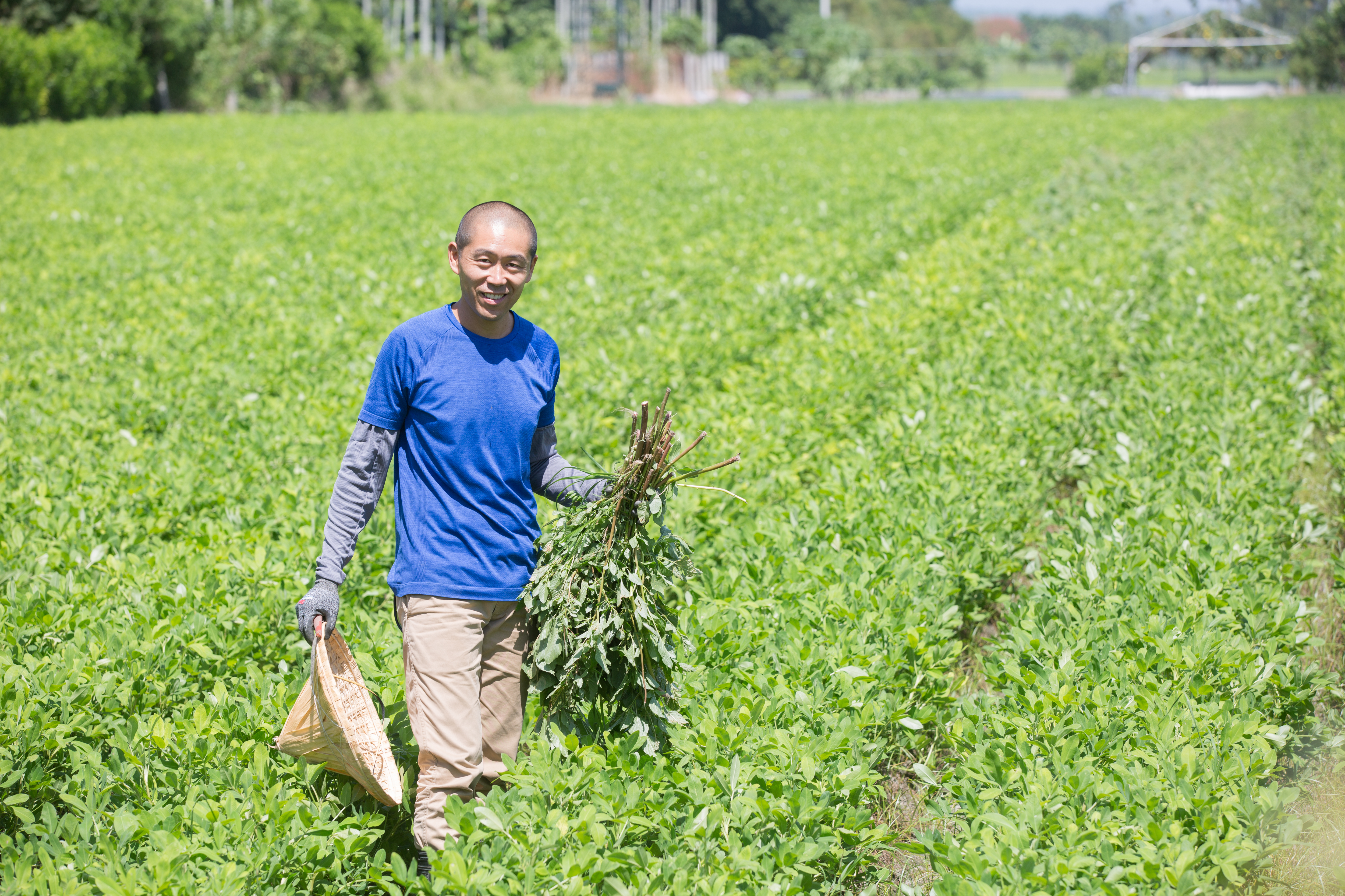 鍾順龍從小對繁雜的農業不感興趣，卻在2009年返鄉學炒花生。