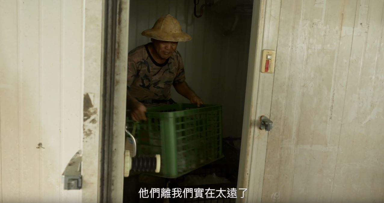 吳音寧被解職的第一日深夜，她在自己臉書貼出產地與議會，將民眾看待議會質詢的想法，透過影片傳達出來。（圖取自向左走影像工作隊　Youtube）