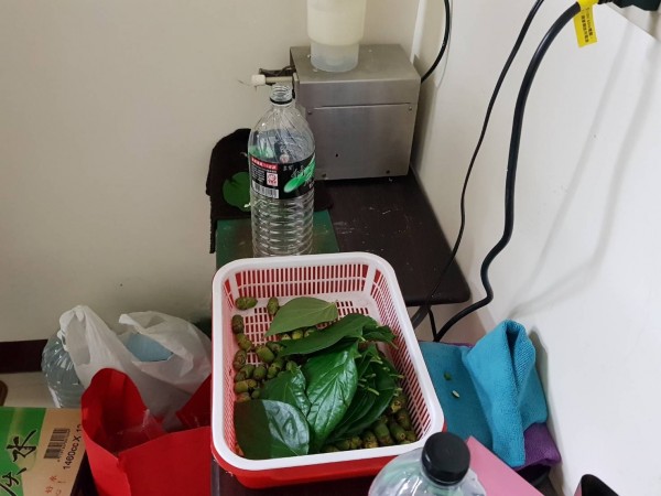 專案小組攻堅時,發現陳男等人愛吃檳榔,為減少外出購物曝光機會,該集團竟找來一名專門包檳榔的師傅。(警方提供)
