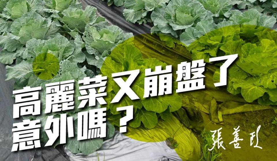 前行政院長張善政在臉書上就高麗菜價崩問題，點名農委會，表示農委會處理農產過剩通常採用3模式，但卻解決不了問題。（張善政臉書）