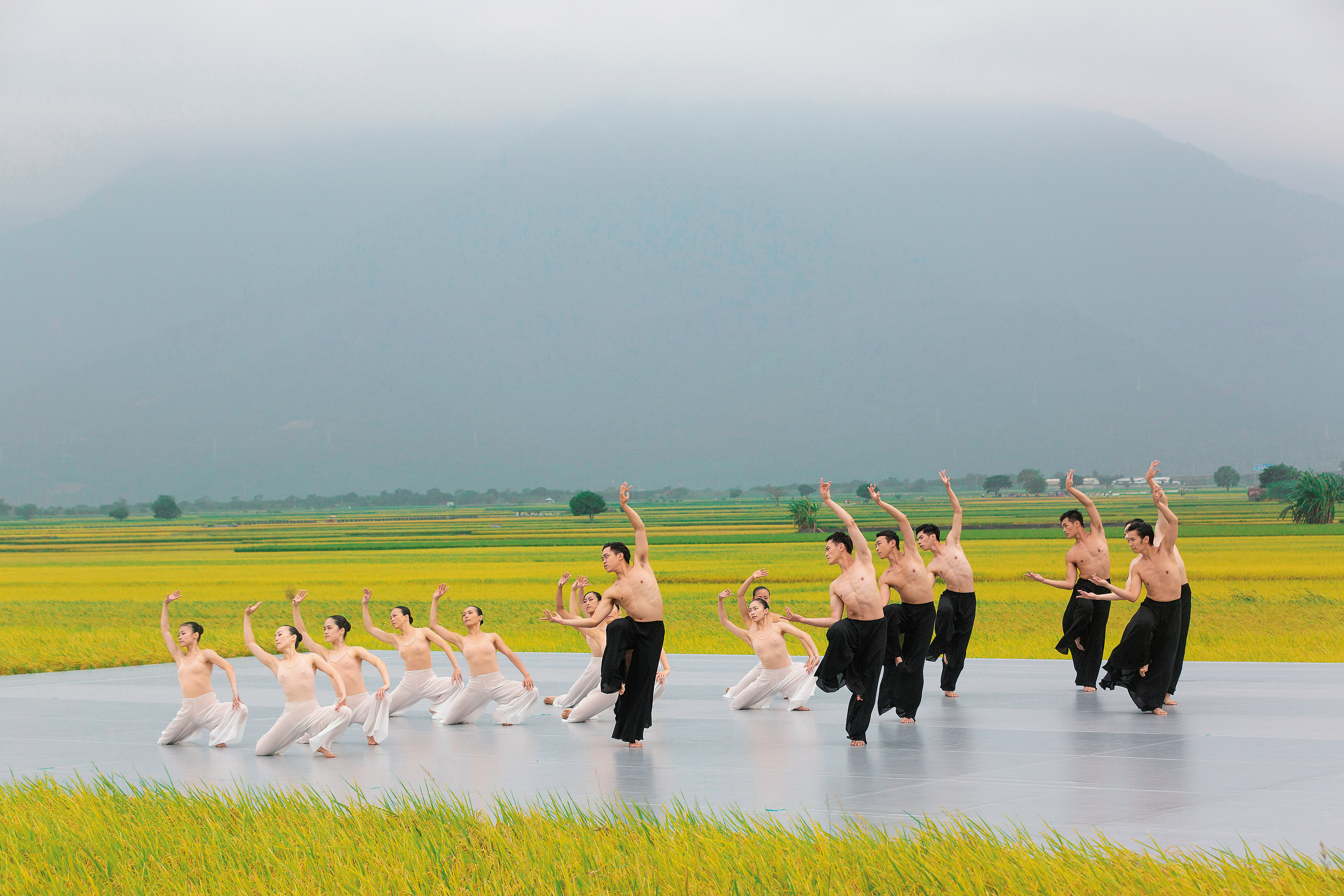 台東池上秋收稻穗藝術節今年邁入第10年，雲門舞集演出「松煙」舞作，3天吸引7千多名觀眾到場。