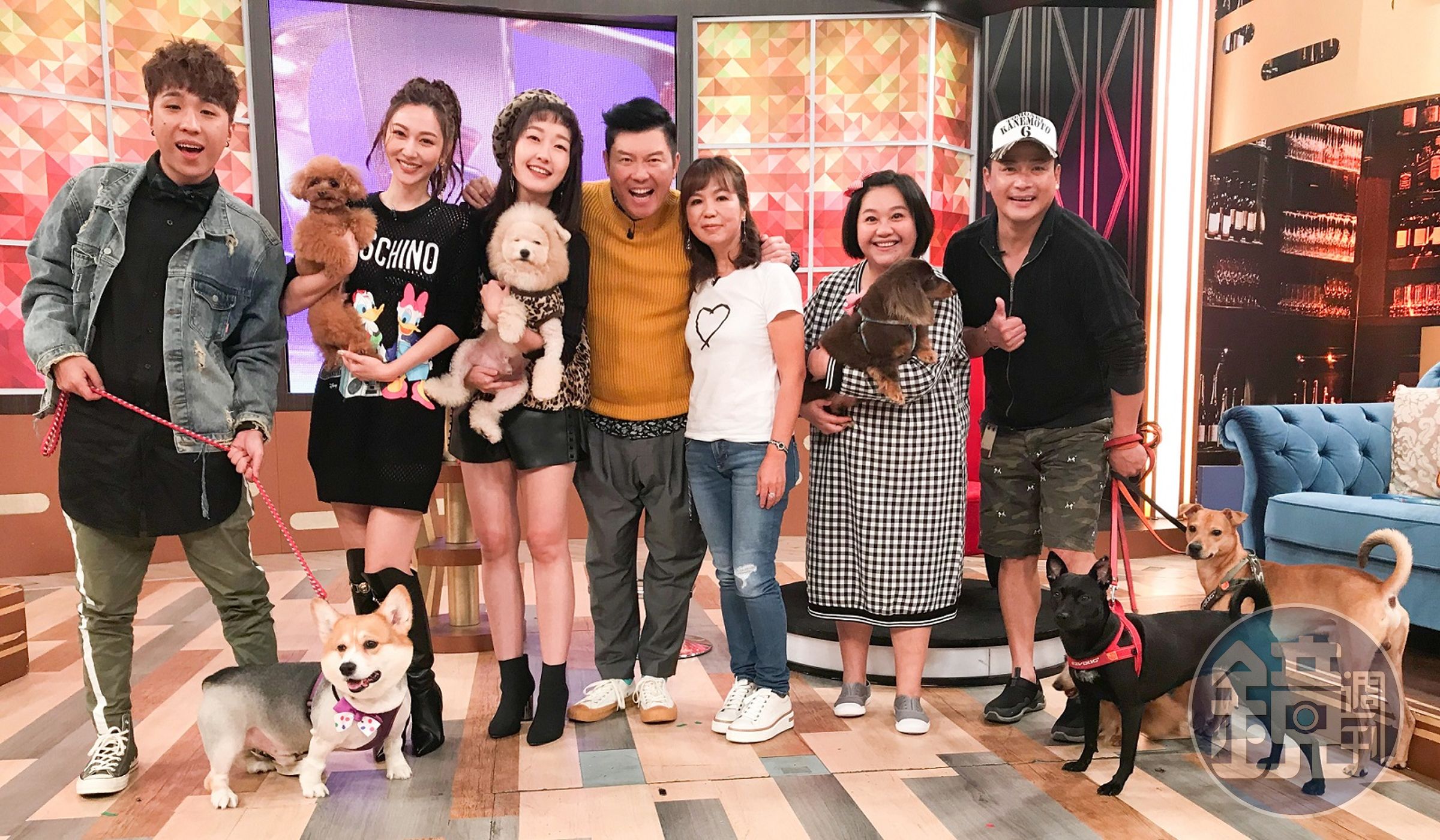 衛視中文台《一袋女王》日前集合眾星大聊與愛犬相處的點滴。（衛視中文台提供）