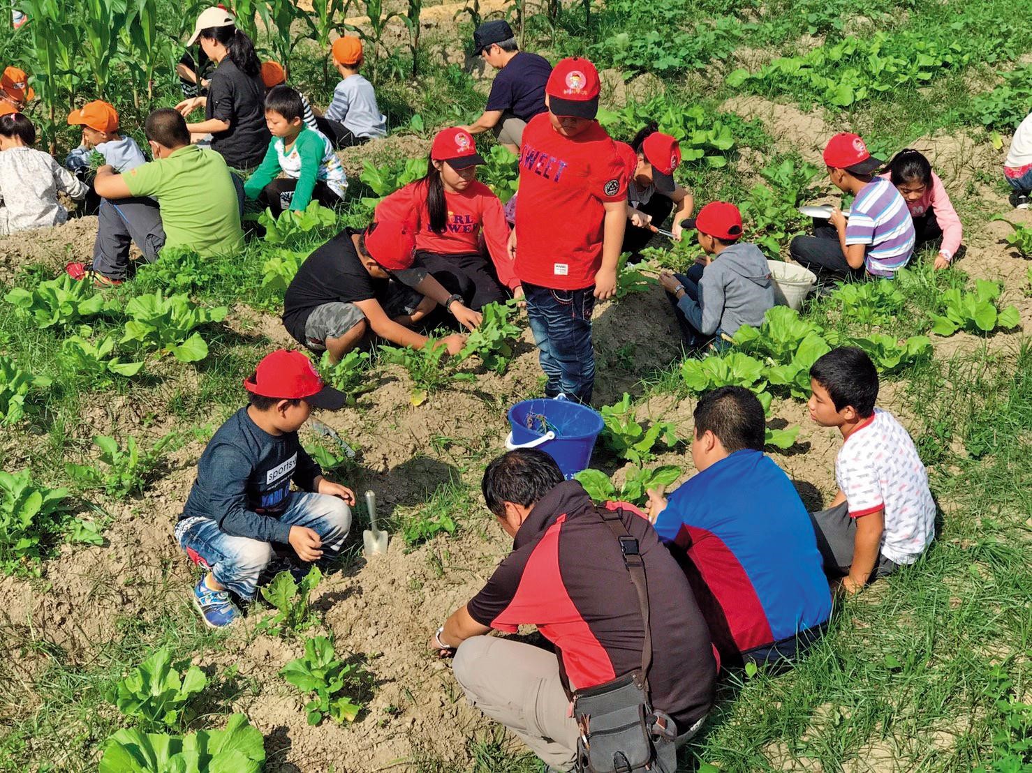 小學生學習耕種，同時由田鄉青農與學校合作進行自然科學及地方文史教育。（台灣好基金會提供）