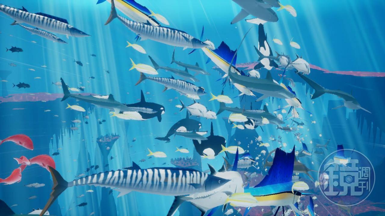 在一望無際的海洋中與水族悠游。（圖片來源：筆者攝）