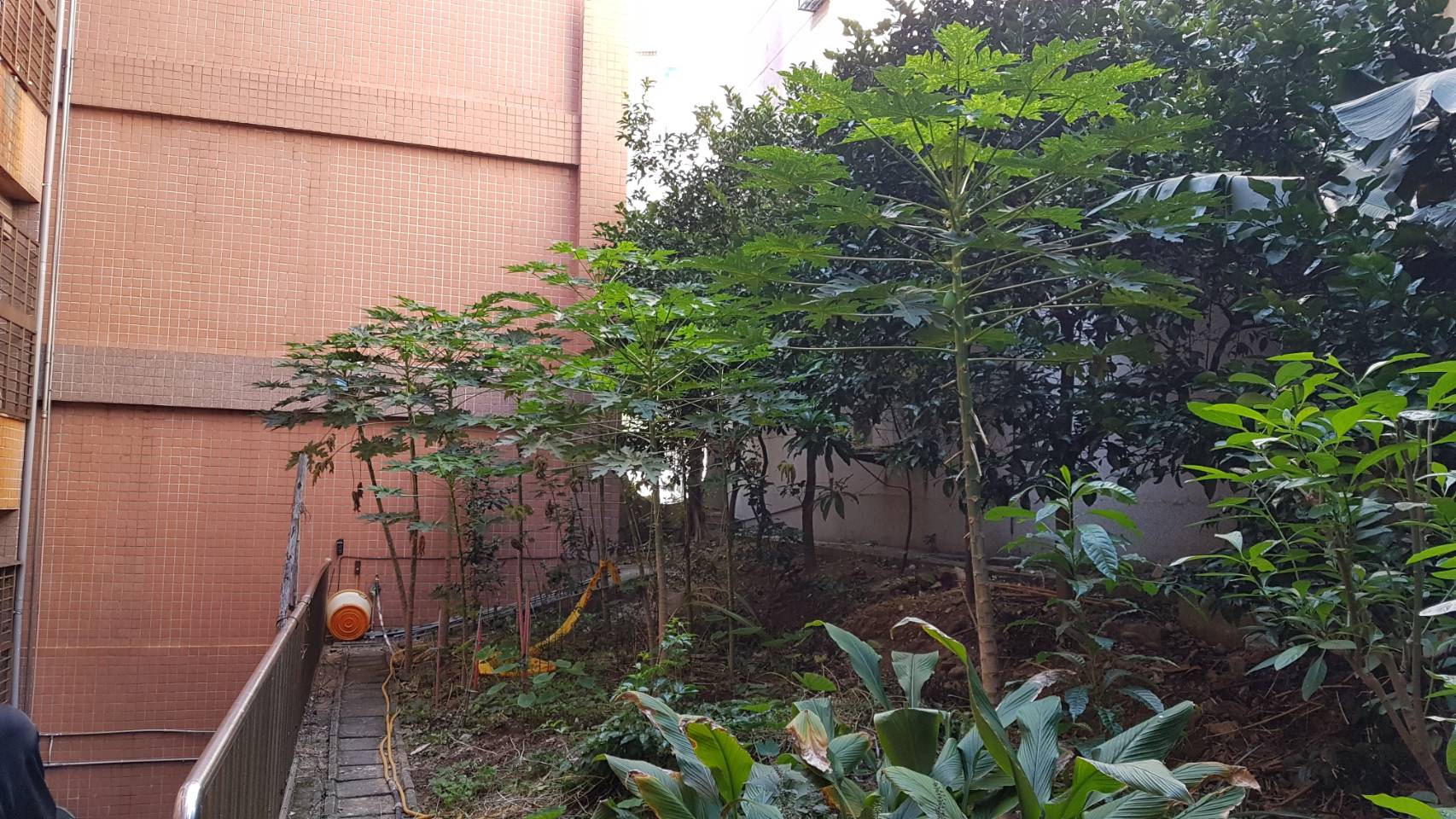 偵查隊長郭建成表示，現正採集現場證物並製作筆錄後報請檢察官相驗。（警方提供）