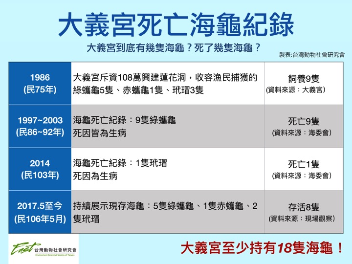 從1997年至今，大義宮已有10隻海龜死亡。（翻攝畫面）