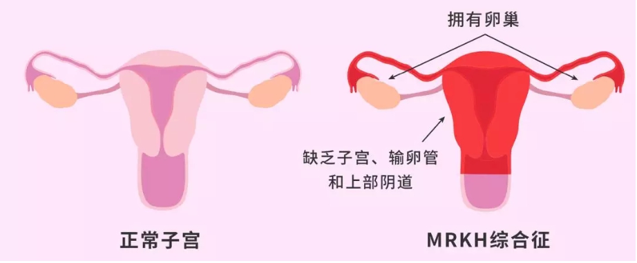 (來源:DT君)