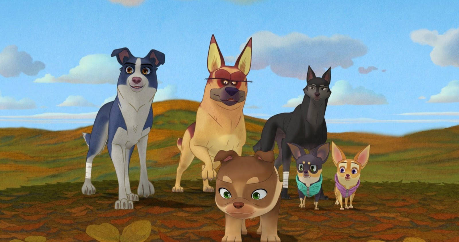 以流浪犬為主角的《萌犬流浪記》，是吳承允、李春白2位導演相隔7年再度推出的新作。（高雄電影節提供）