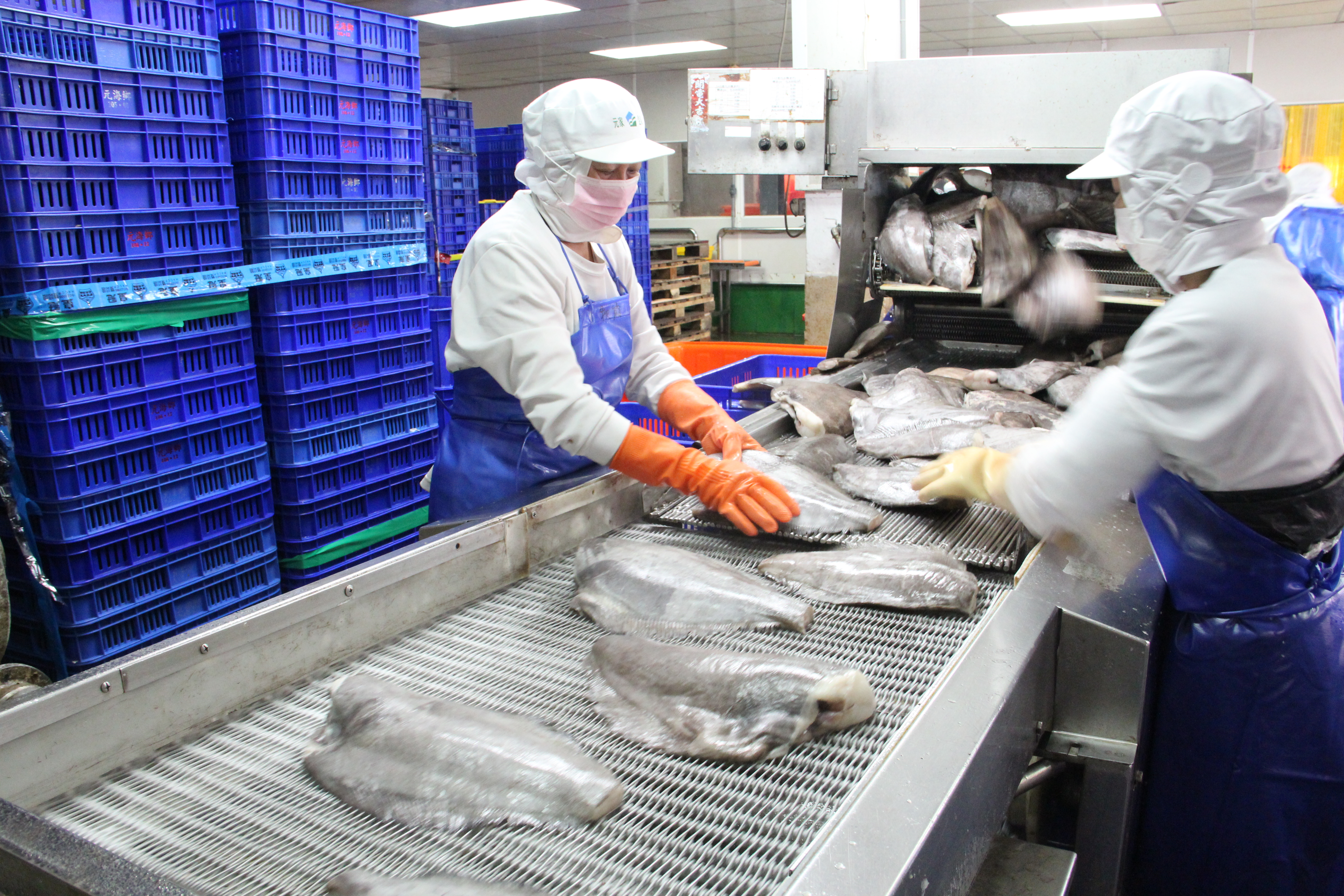 元家企業是國內冷凍水產進口加工批發的龍頭，年營收超過45億元。