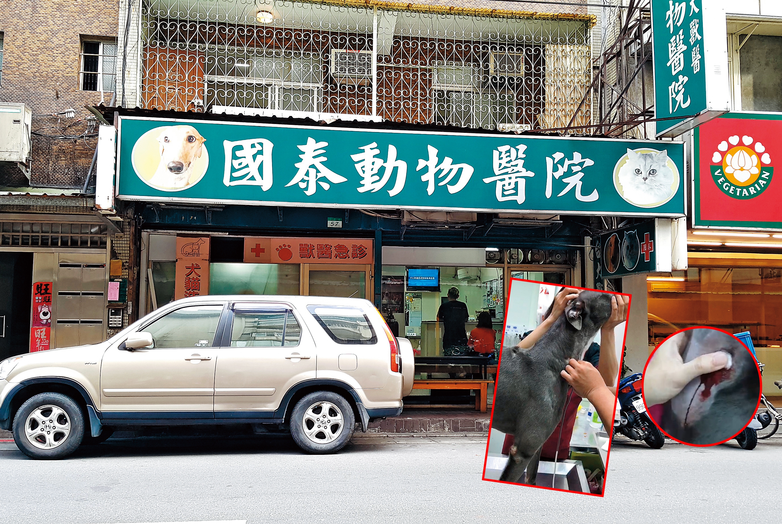 老字號國泰動物醫院被爆超抽至少6隻血犬的血液，還把血拿來做成製劑營利。