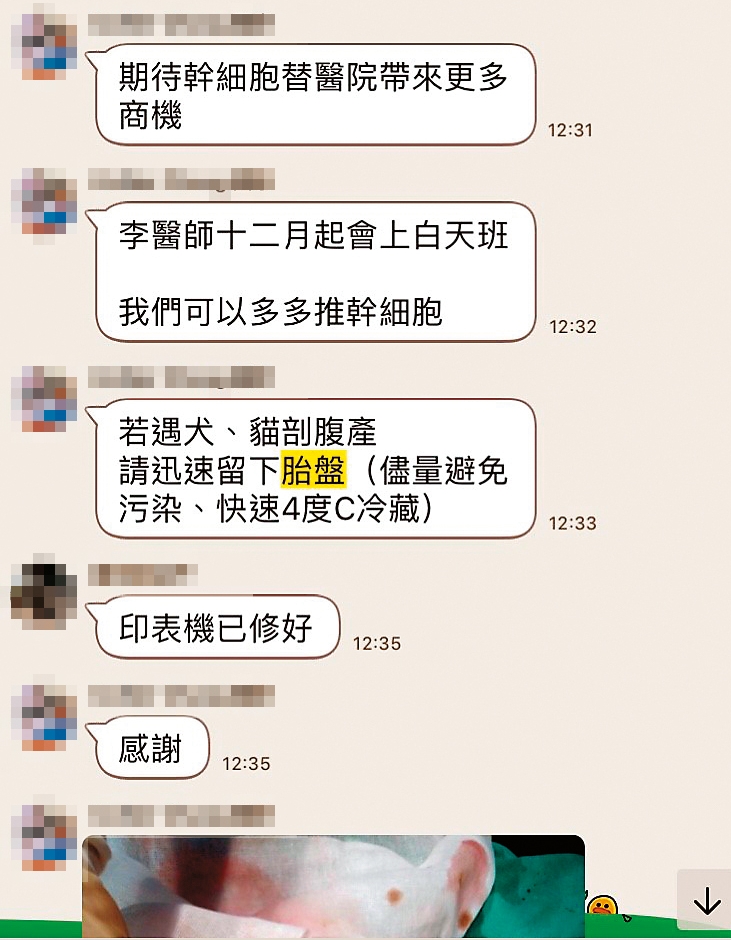 院方近期推出間葉幹細胞療程，卻要求獸醫師蒐集到院剖腹產的貓、狗胎盤。（讀者提供）