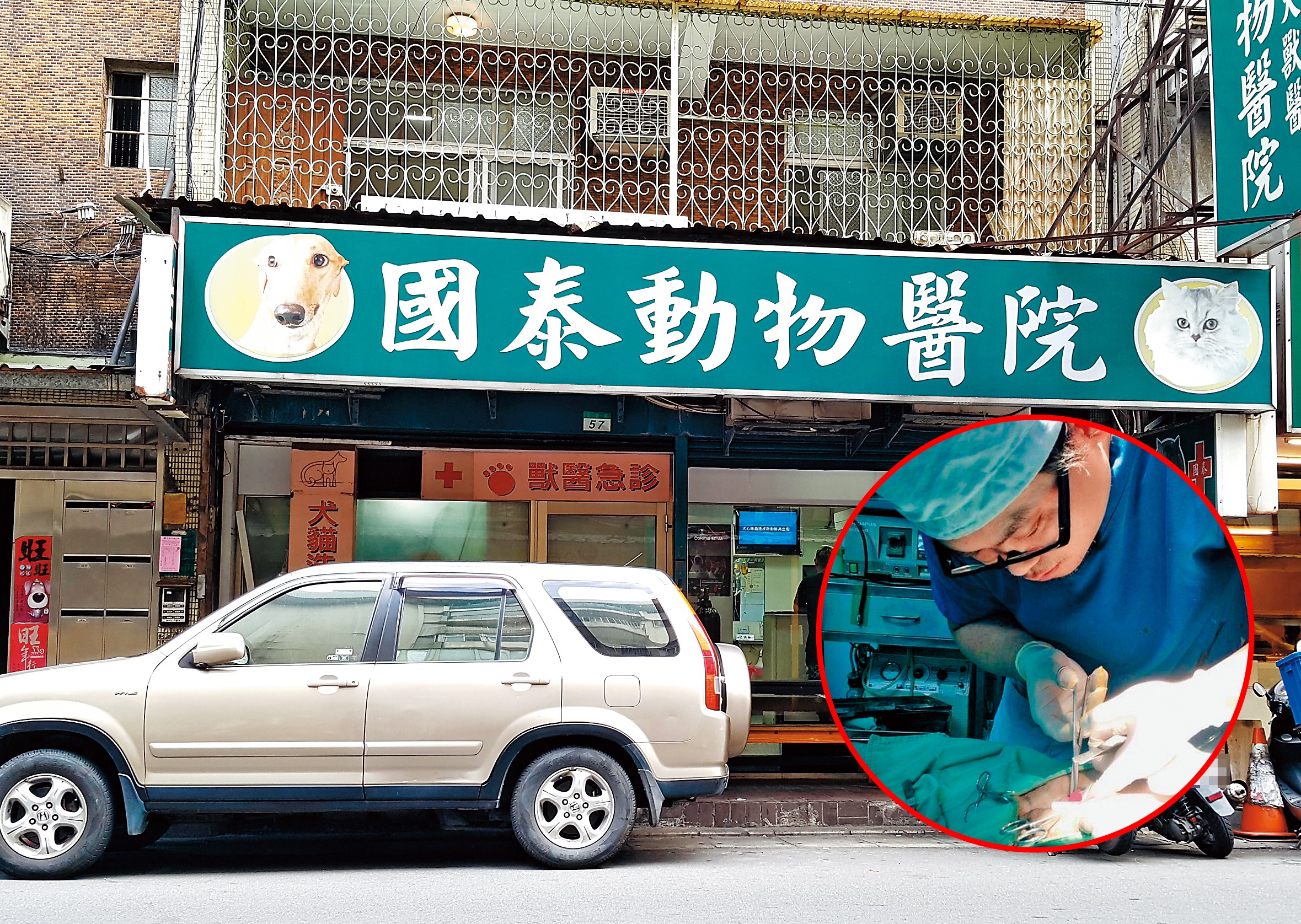 老字號國泰動物醫院被爆超抽至少6隻血犬的血液，還把血拿來做成製劑營利，國泰動物醫院負責人是院長張紹沛。（小圖翻攝張紹沛臉書）