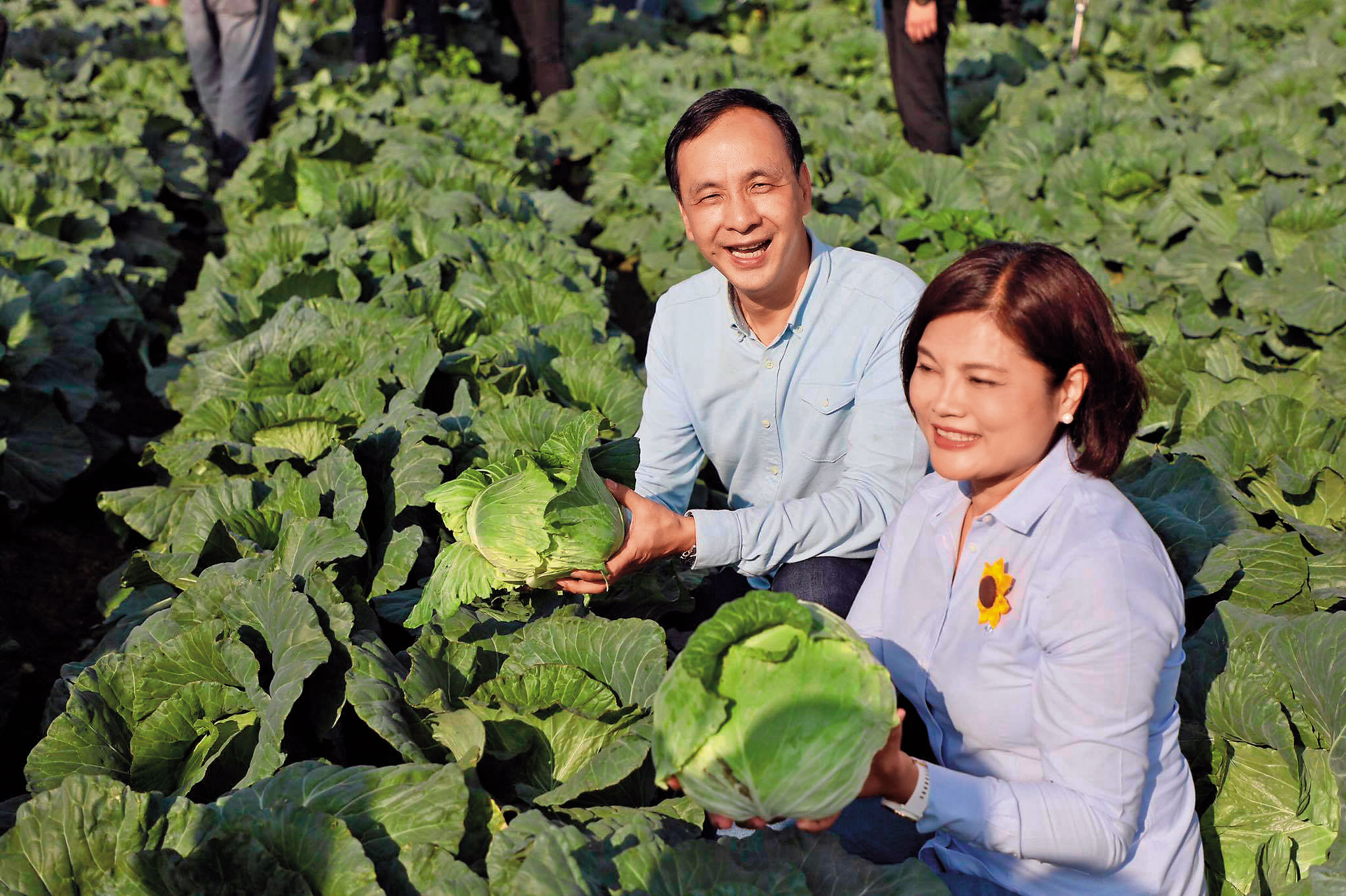 朱立倫選後應準雲林縣長張麗善之邀，南下採購400噸高麗菜幫助農民，之前也幫忙行銷茂谷柑、文旦柚等，讓朱更接地氣。（翻攝自朱立倫臉書）