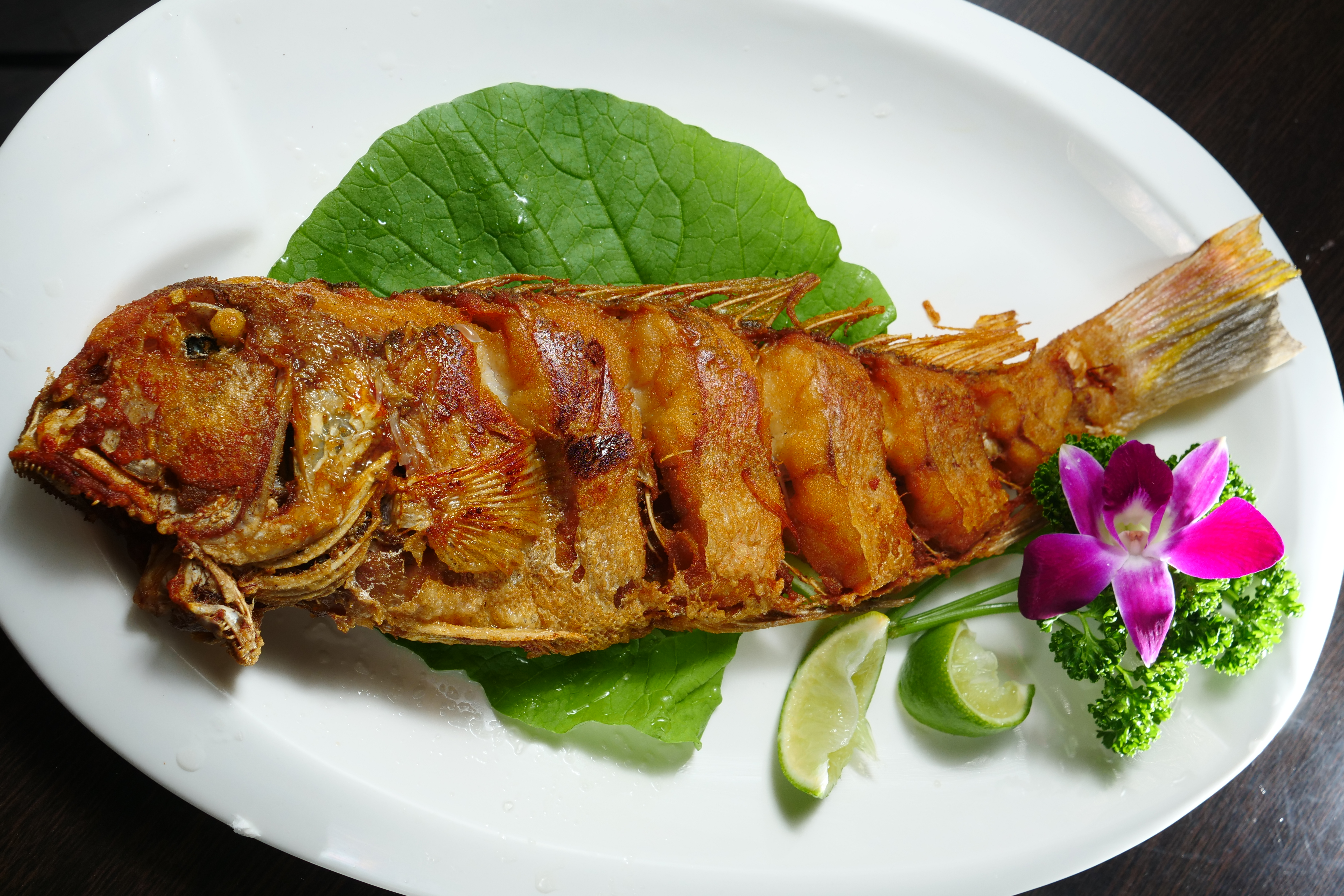 「小酌之家」的「香煎馬頭魚」，有口皆碑，評價相當高。