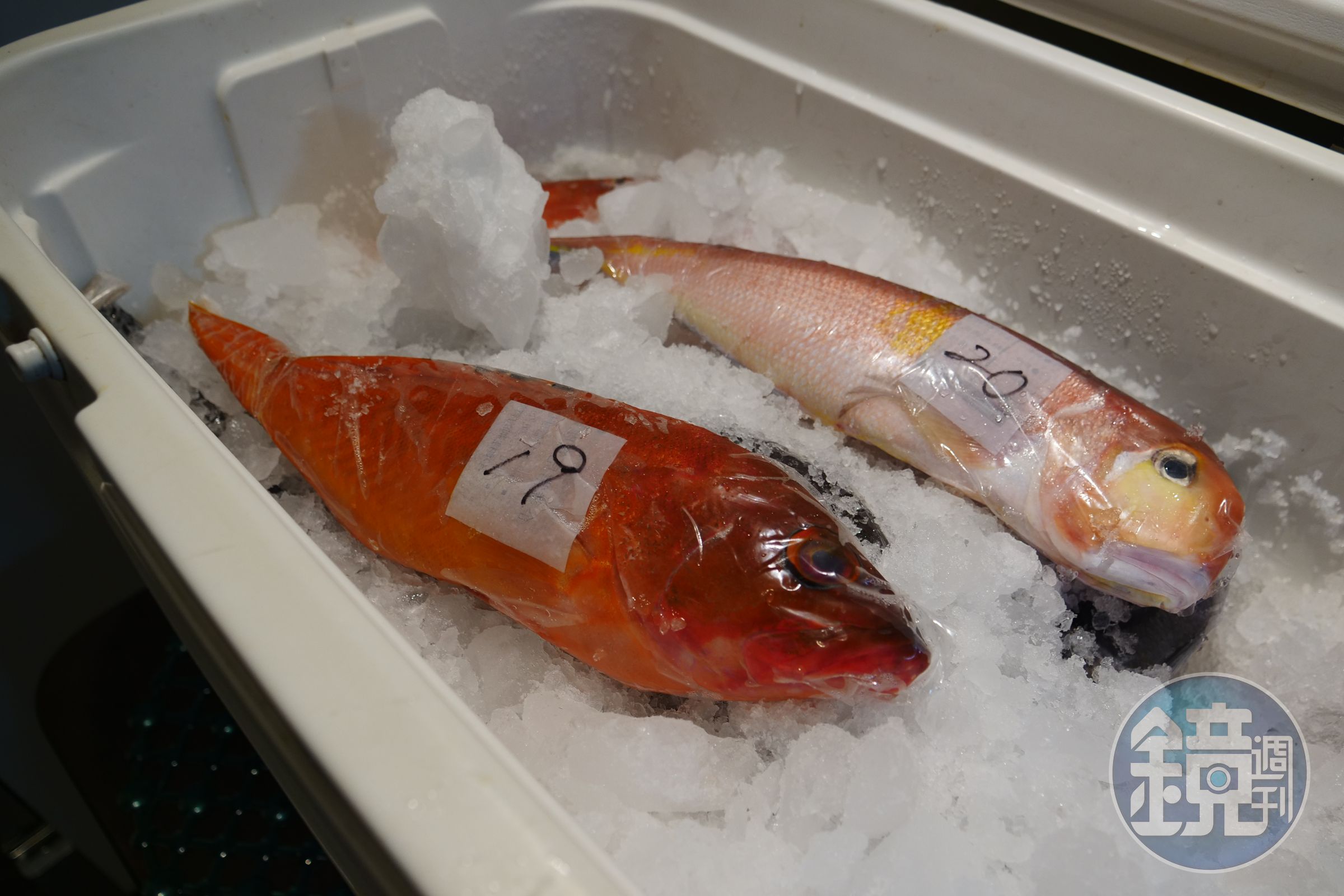 為了維持魚的鮮度和口感，處理好的魚會封袋、標示重量，再放進裝滿碎冰的保冷箱。