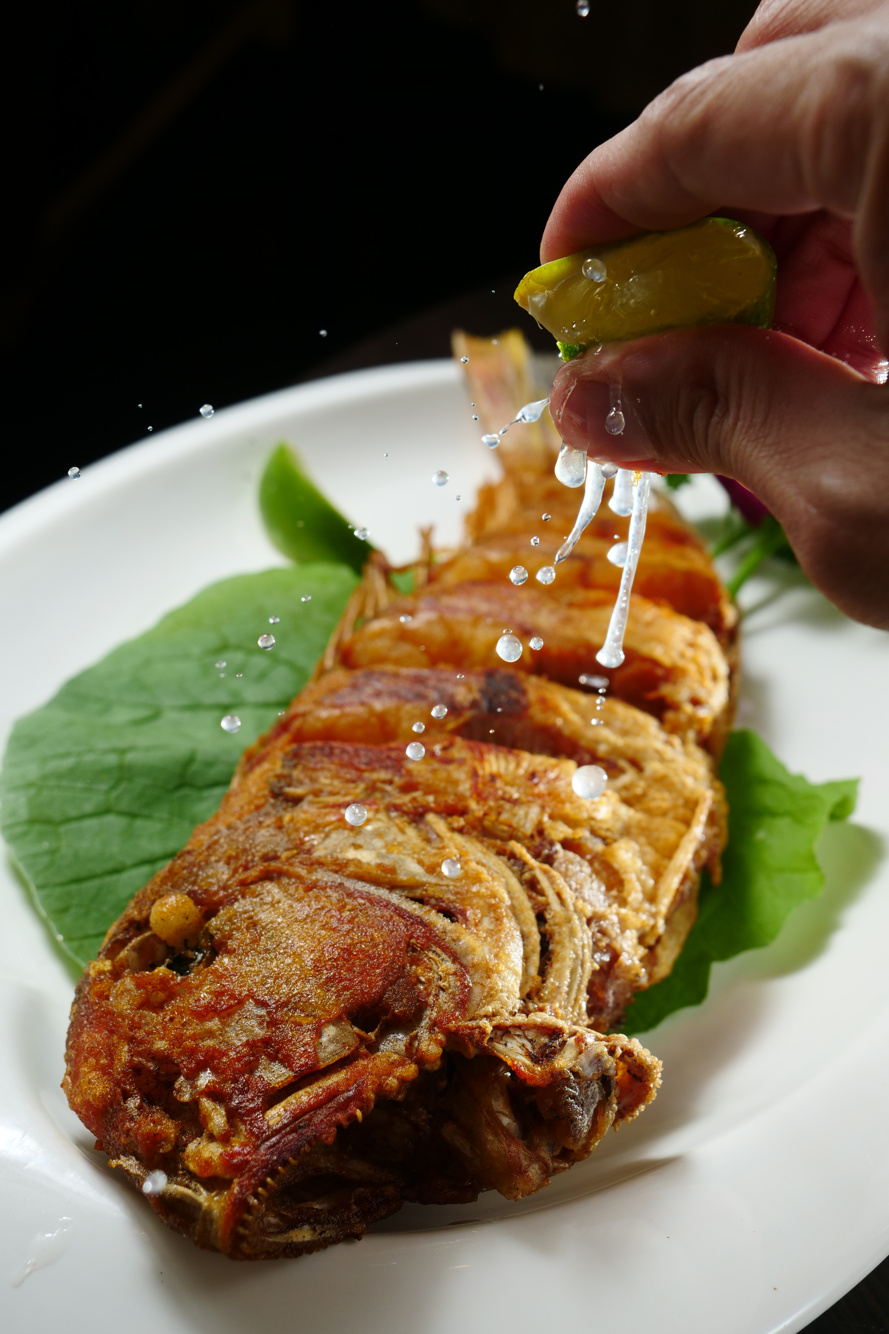 「香煎馬頭魚」外皮煎得完整漂亮、酥黃脆口，魚肉水嫩甘美。（時價，圖中約1,500元）