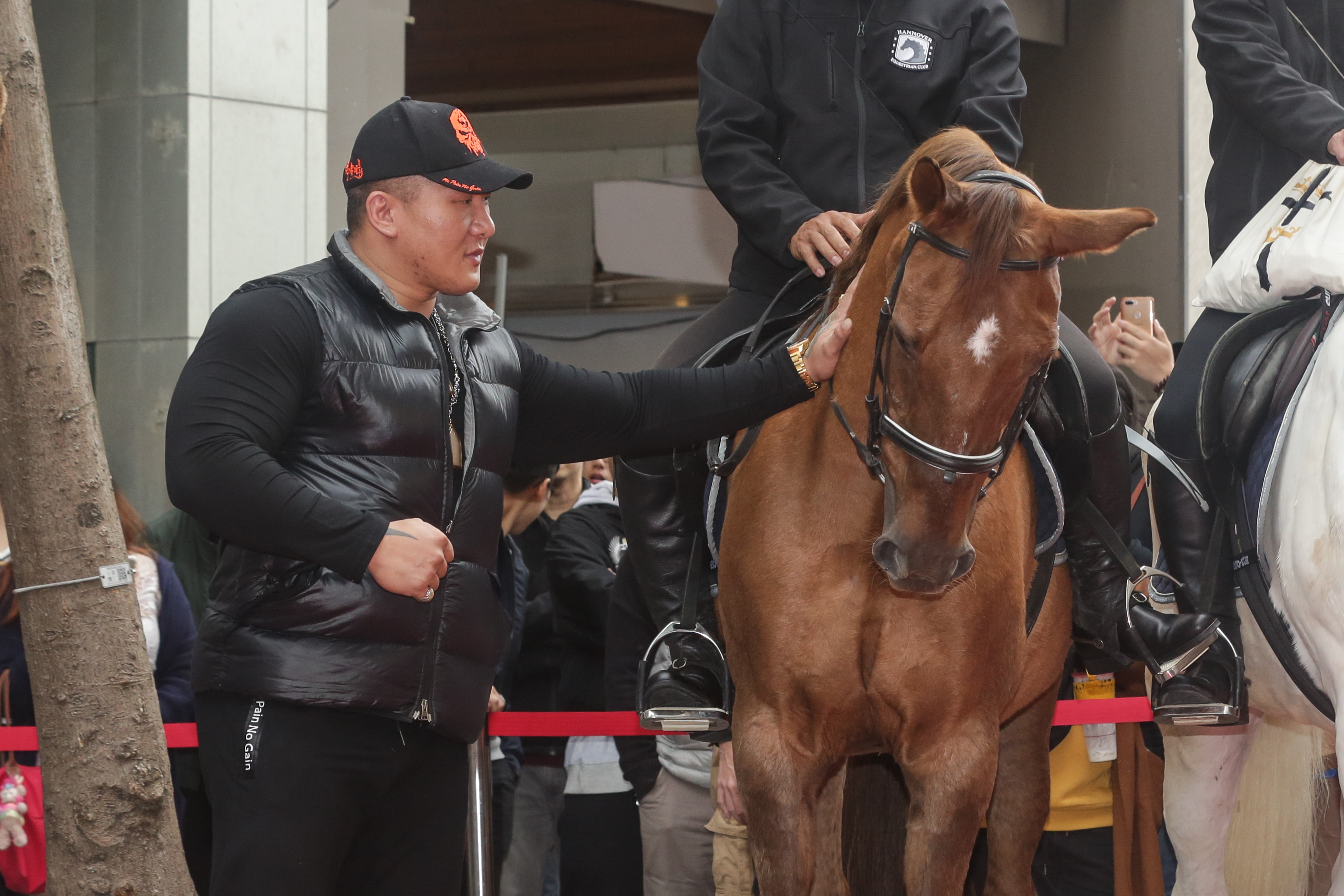 今天參加活動的馬匹都有點脾氣，就算是館長也得安撫一下。