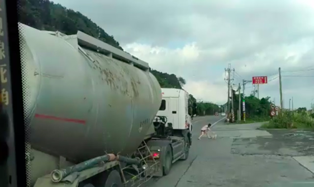 小狗未繫牽繩在路上亂竄，差點被迎面而來的砂石車撞上。（翻攝臉書）