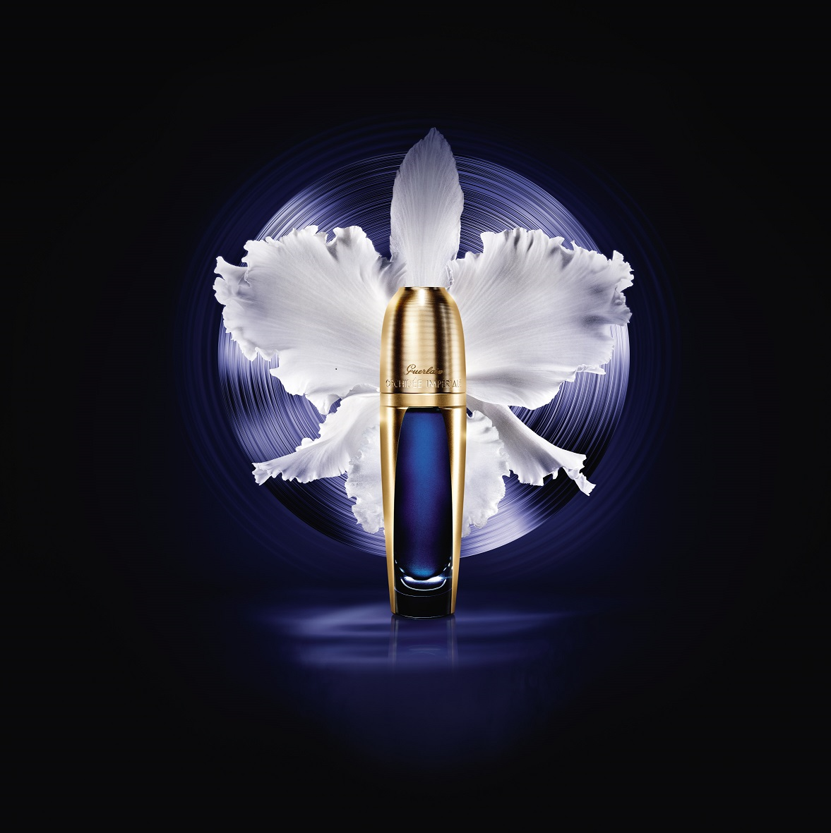 蘭鑽極致濃縮精華,NT$19,900。